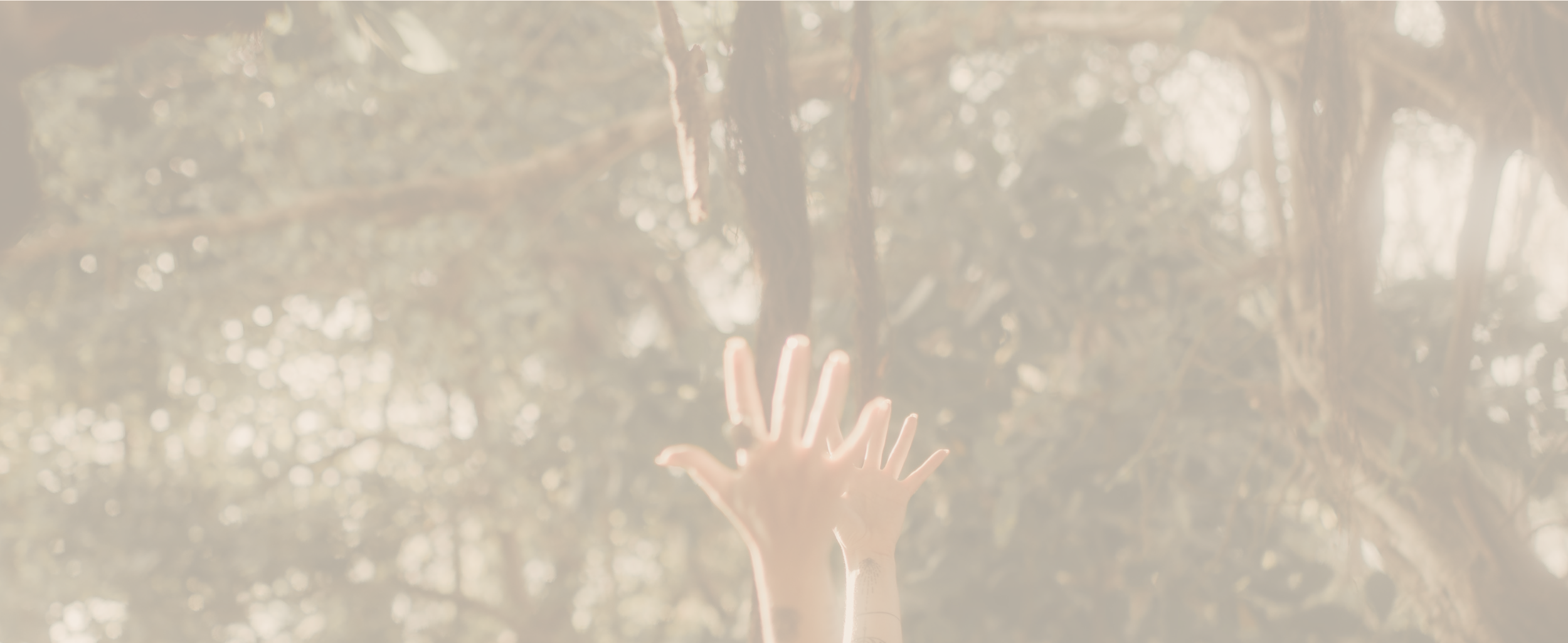Copy of Victoria Bauman Website Banner (2).png