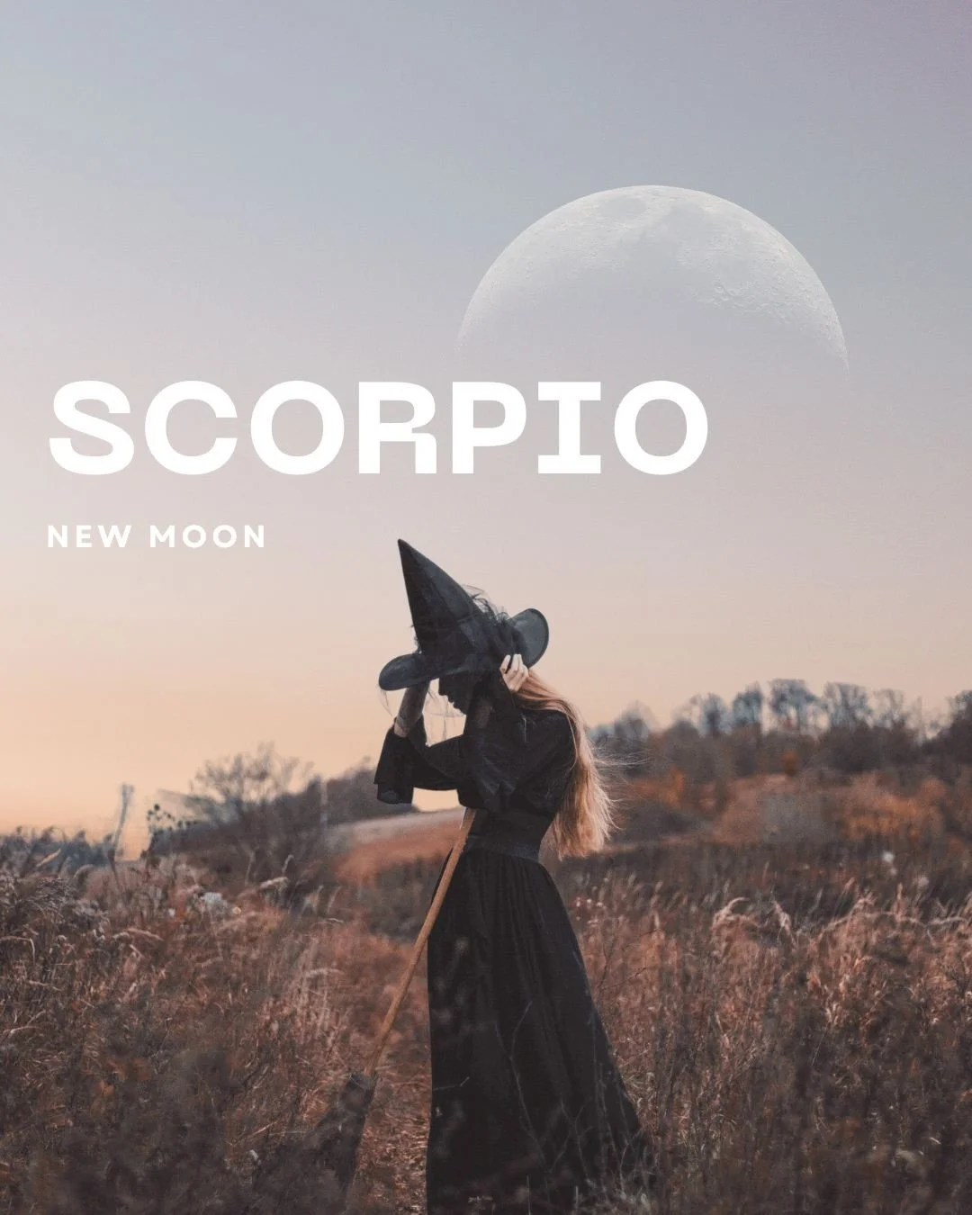 Scorpio New Moon 🌚 ♏️ 

As Scorpio season comes to a close, this New Moon invites us to quietly planting seeds for deeper transformation. With Mercury retrograde conjunct the Moon and Uranus in opposition, the energy is introspective, emotional, and