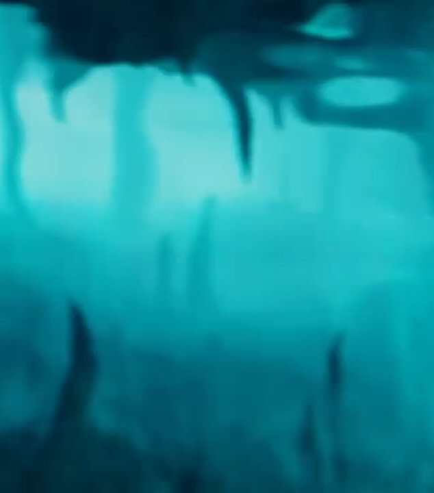 Introducing Korea&rsquo;s Most Popular Soju
Saero 새로 Premium Zero Sugar 🥳
Now Available Near You!