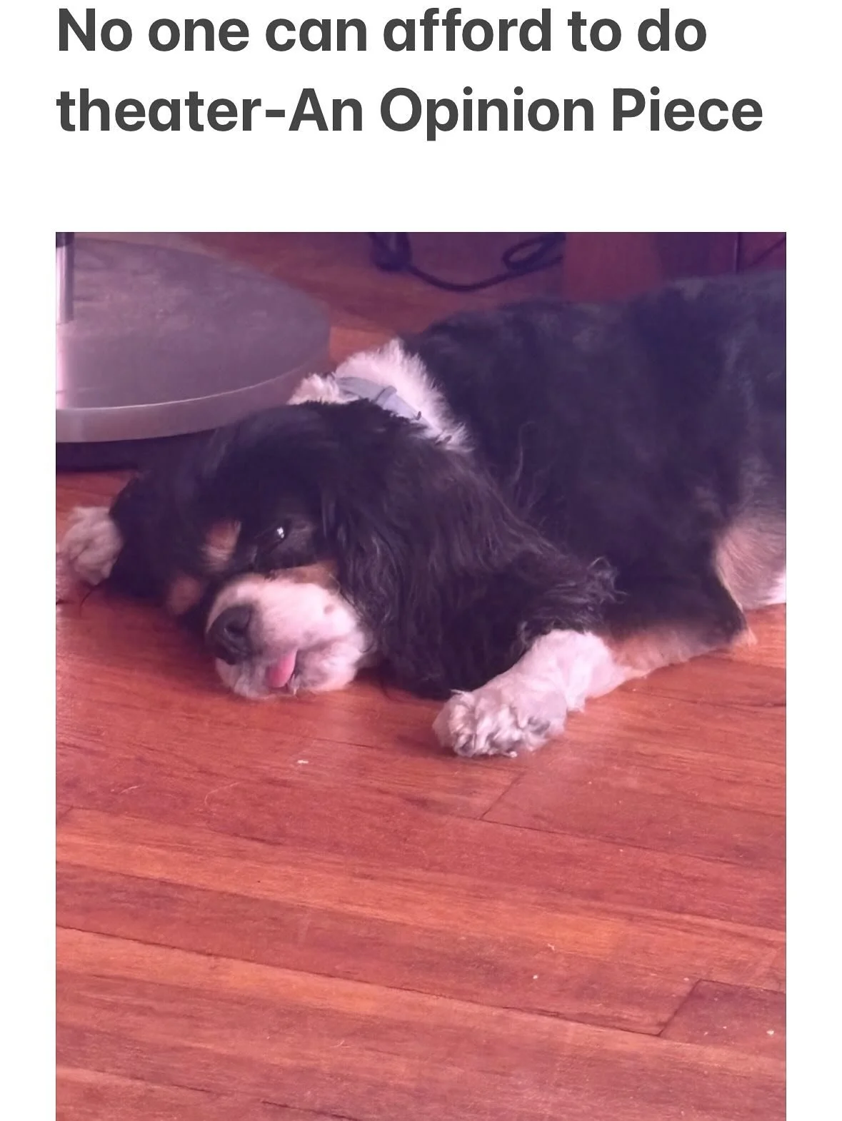 Some thoughts.

#theater #theatre #opinion #design #designer #art #artist #culture #notes #theaterartist #theatredesinger