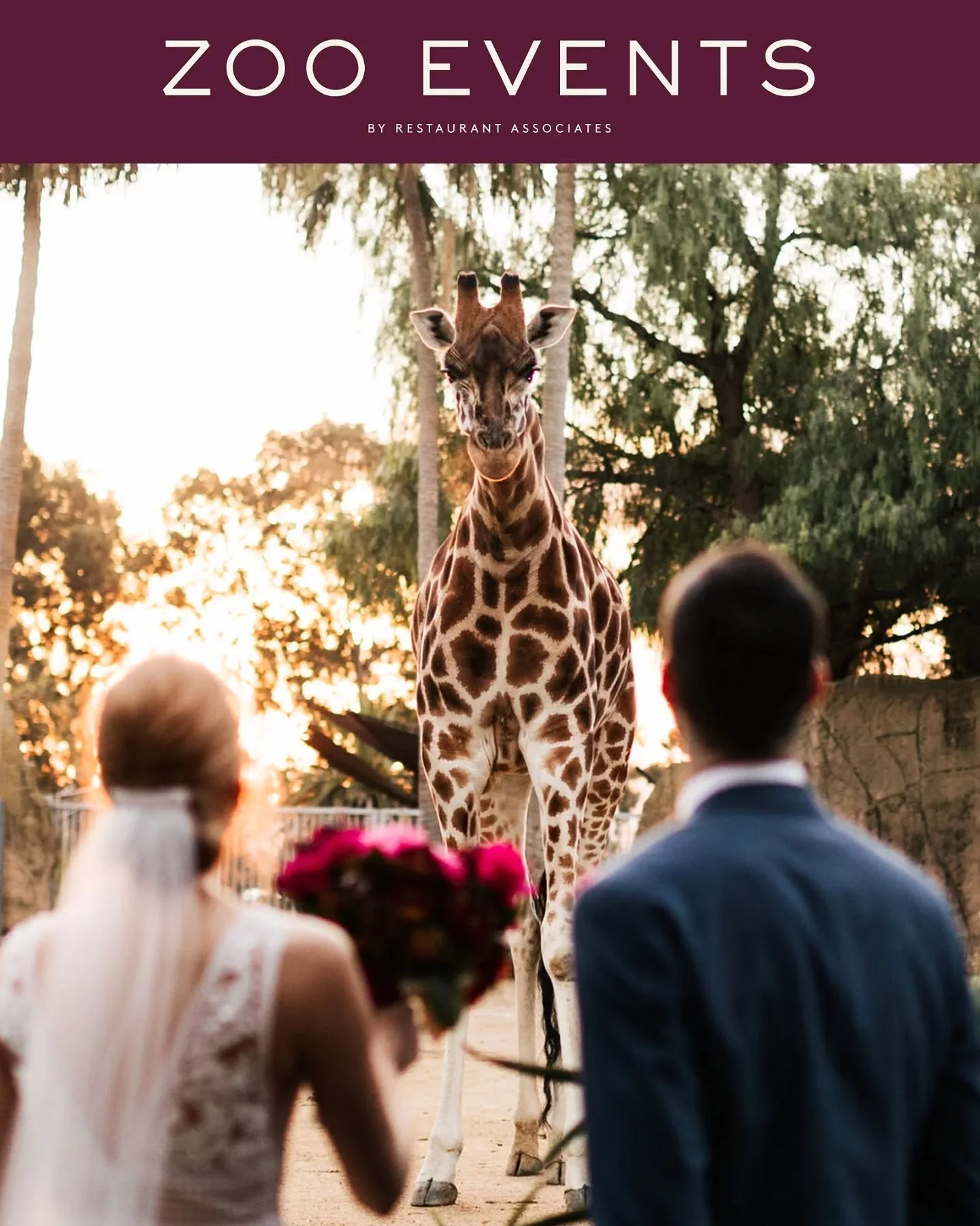 Proud to be working with Zoo Events who manage weddings, corporate functions, kids parties and social events at Melbourne &amp; Werribee Zoos. We'll be working on their paid media, SEO and broader online advertising opportunities to drive bookings fo