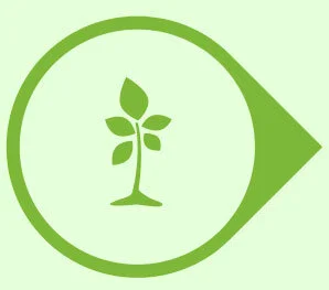 FORESTRY &amp; OTHER