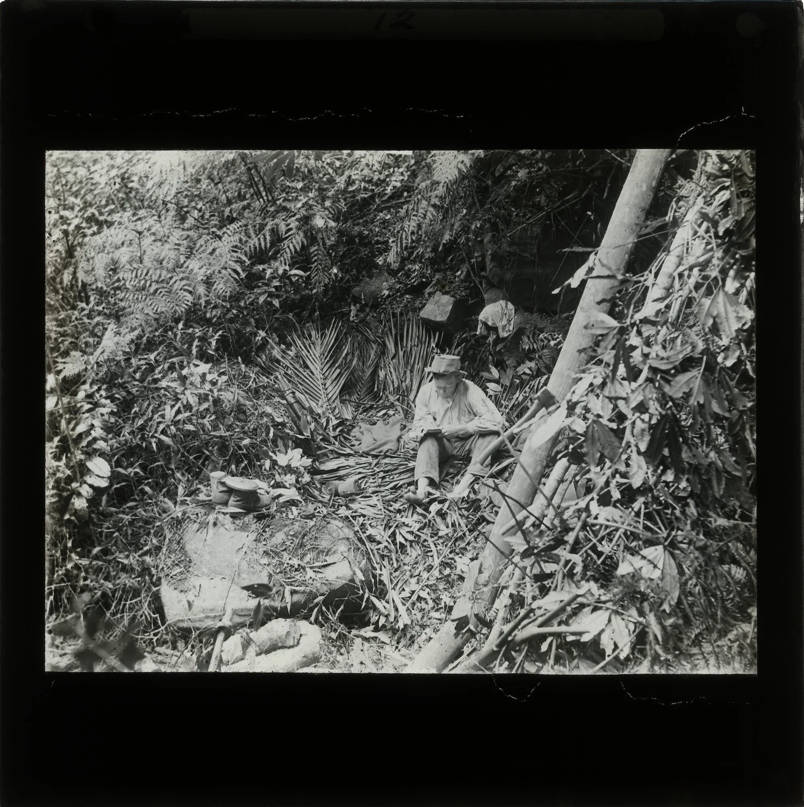 Camp lined with palm leaves amongst the rocks on the banks of the Coomera River, Queensland, 1911