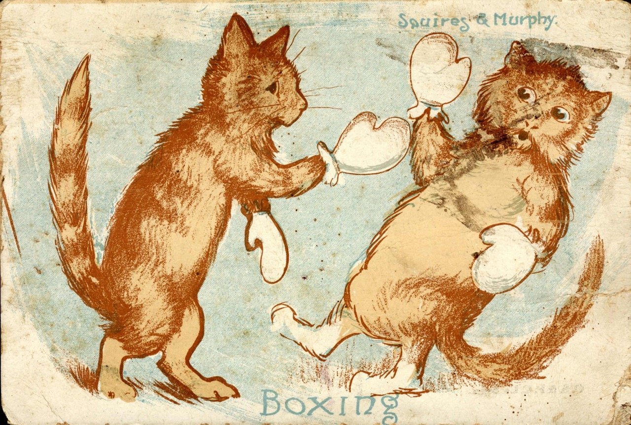 In 1906, Bill Squires defeated Tim Murphy in three rounds to win the Australian boxing championship