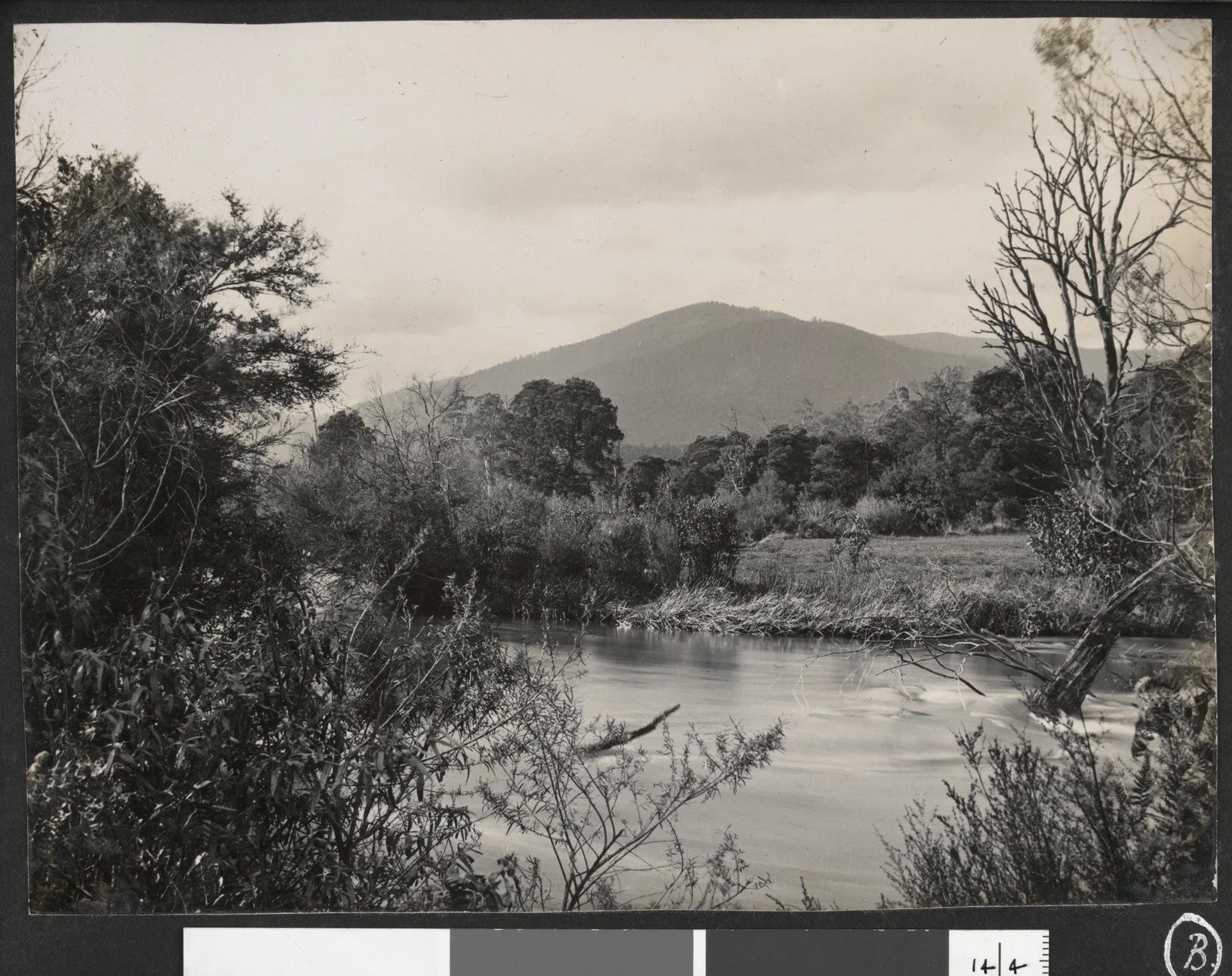 The Upper Yarra, Coldstream 1923