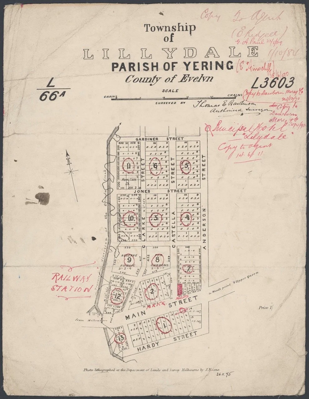 Township of Lillydale, Parish of Yering 1875 Large.jpeg