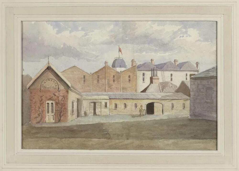 Art - St. Huberts' vineyard and winery near Lilydale 1870