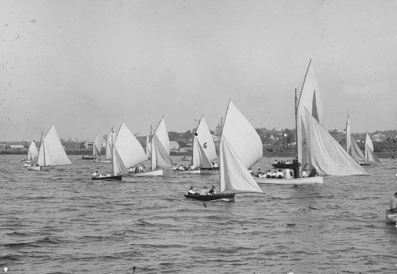 Sailing regatta, Brisbane, 1899