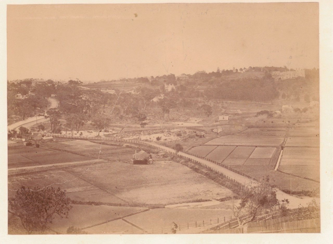 Double Bay, view of market gardens and New South Head Road 1875-85