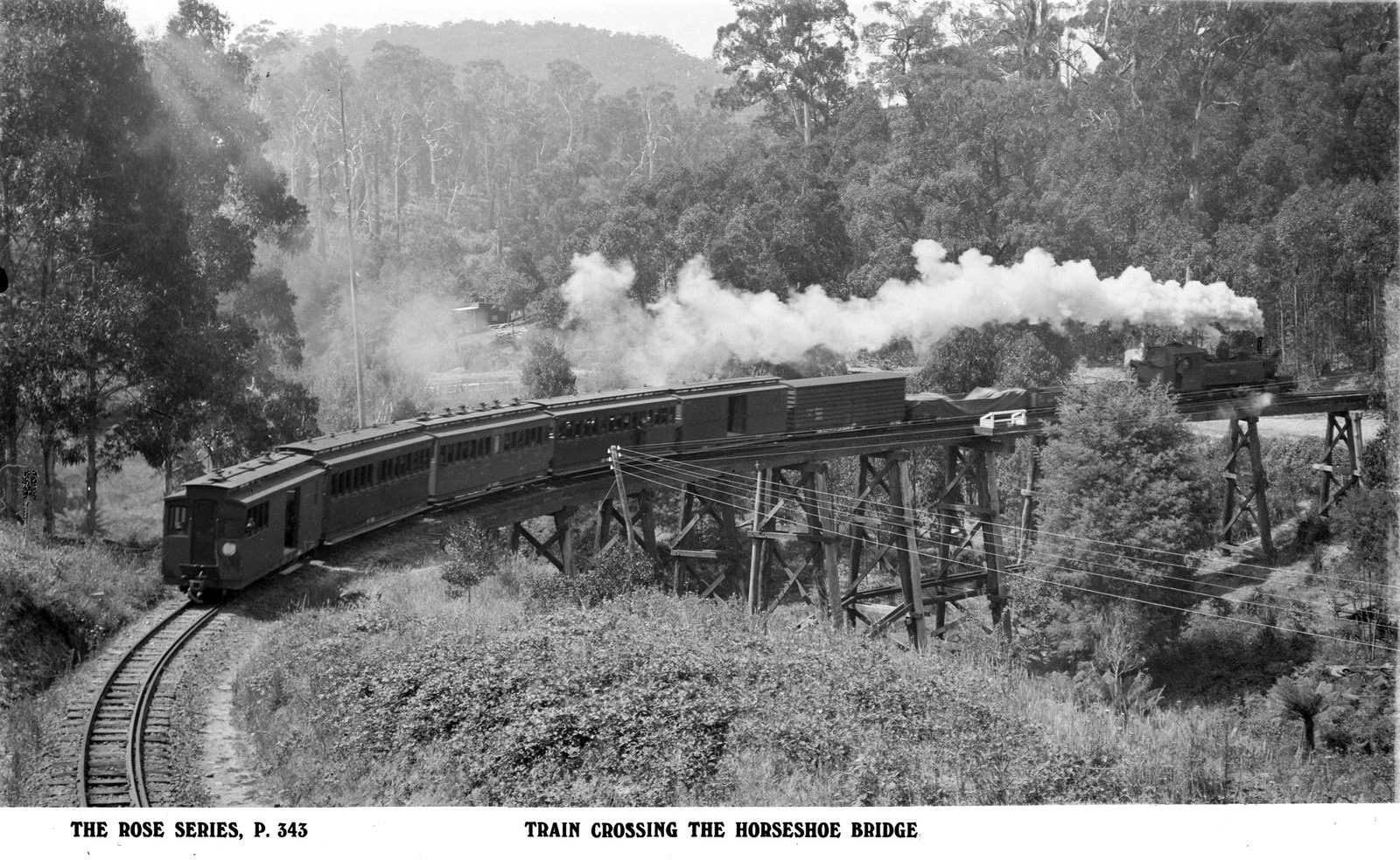 Train Crossing The Horseshoe Bridge, Belgrave 1920-50 Puffing BIlly