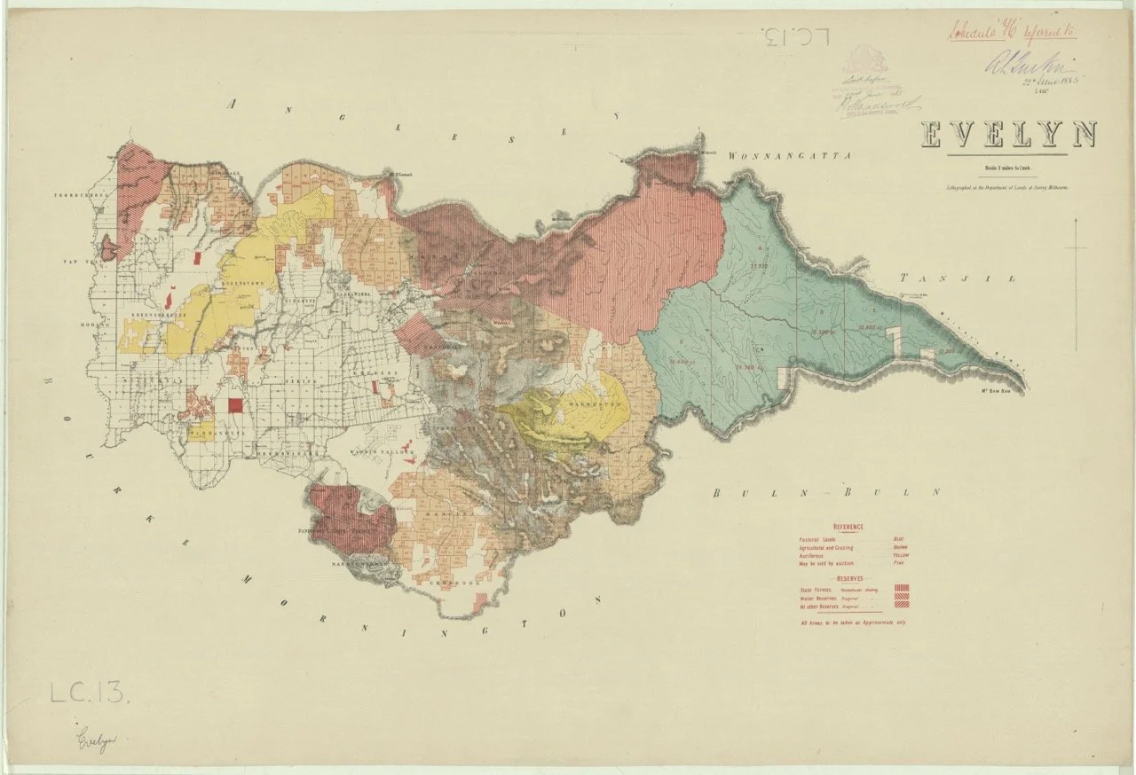 EVELYN Parish Large.jpeg