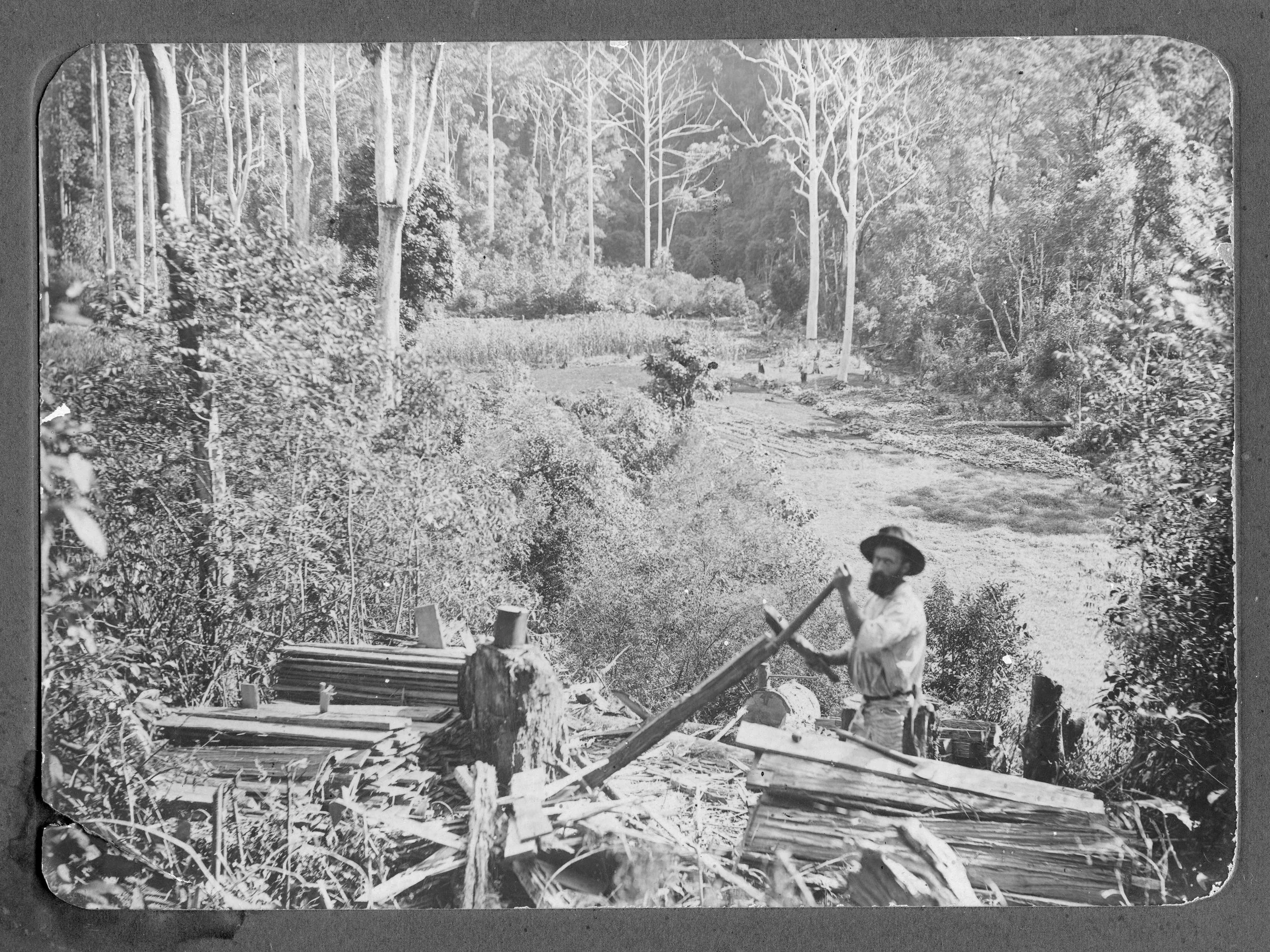 Walker’s Upper Coomera splitting timbers-789