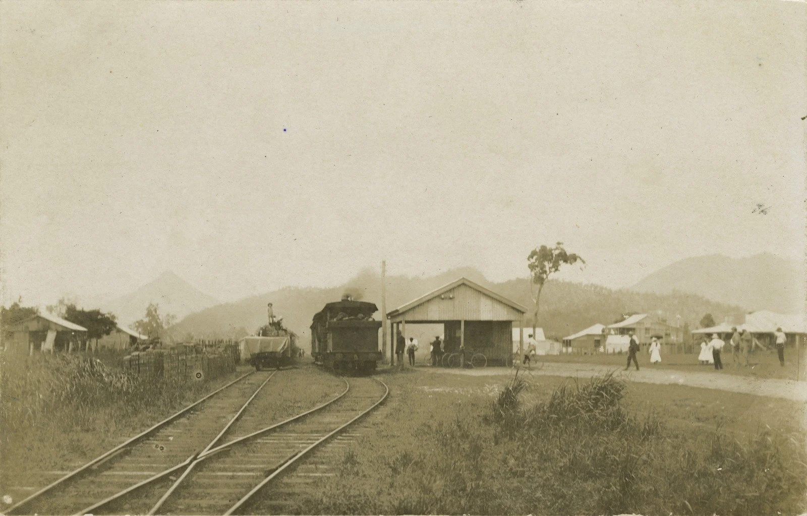 Steam train at Edmonton 1910