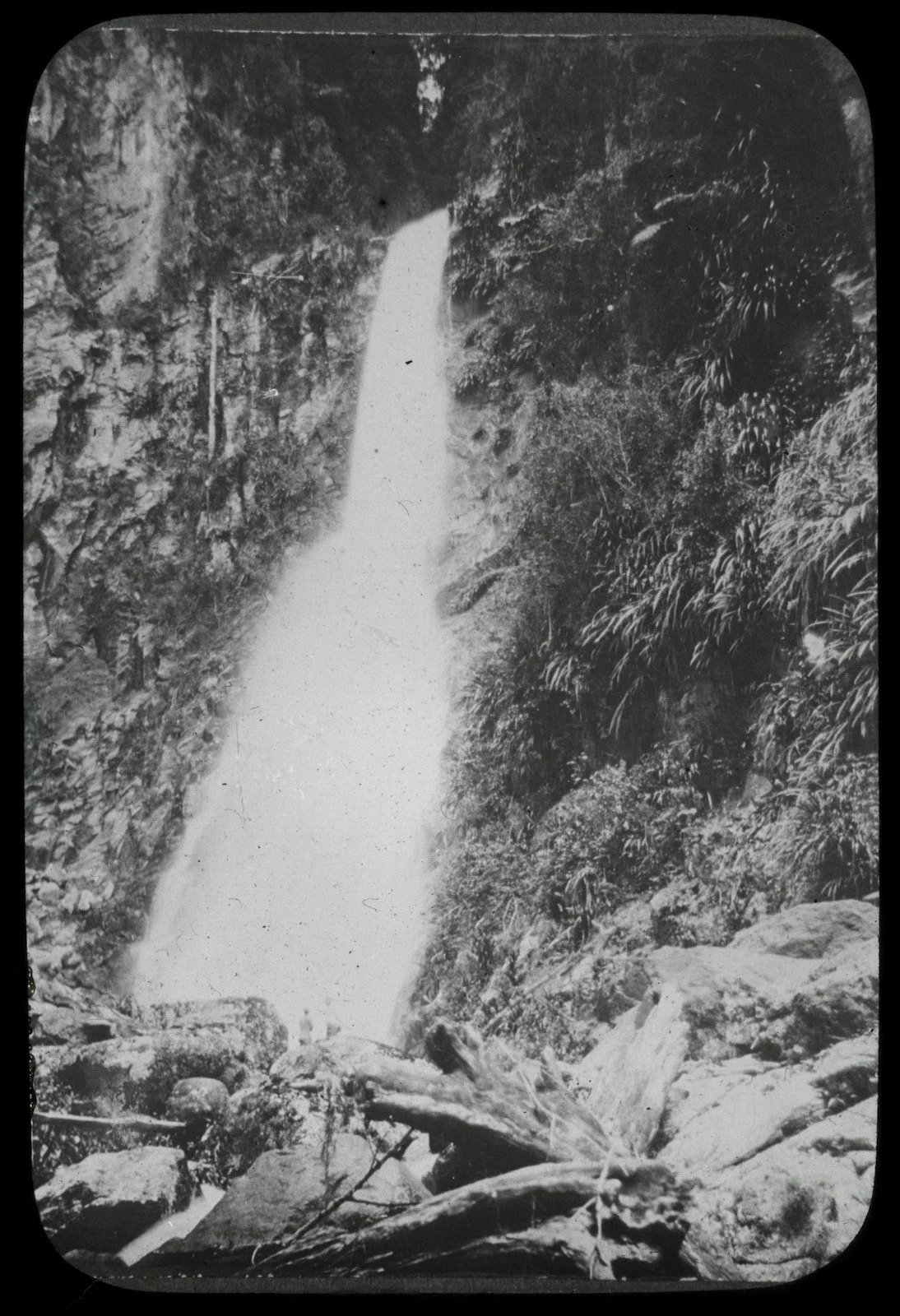 Coomera Falls in Lamington National Park, Queensland, 1909-1915