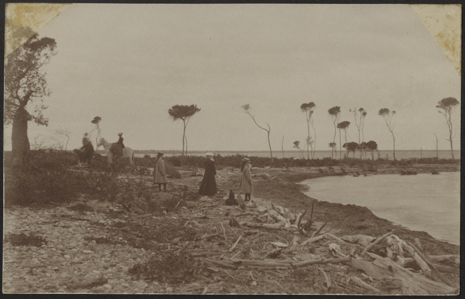 Possibly Metung 1900 2