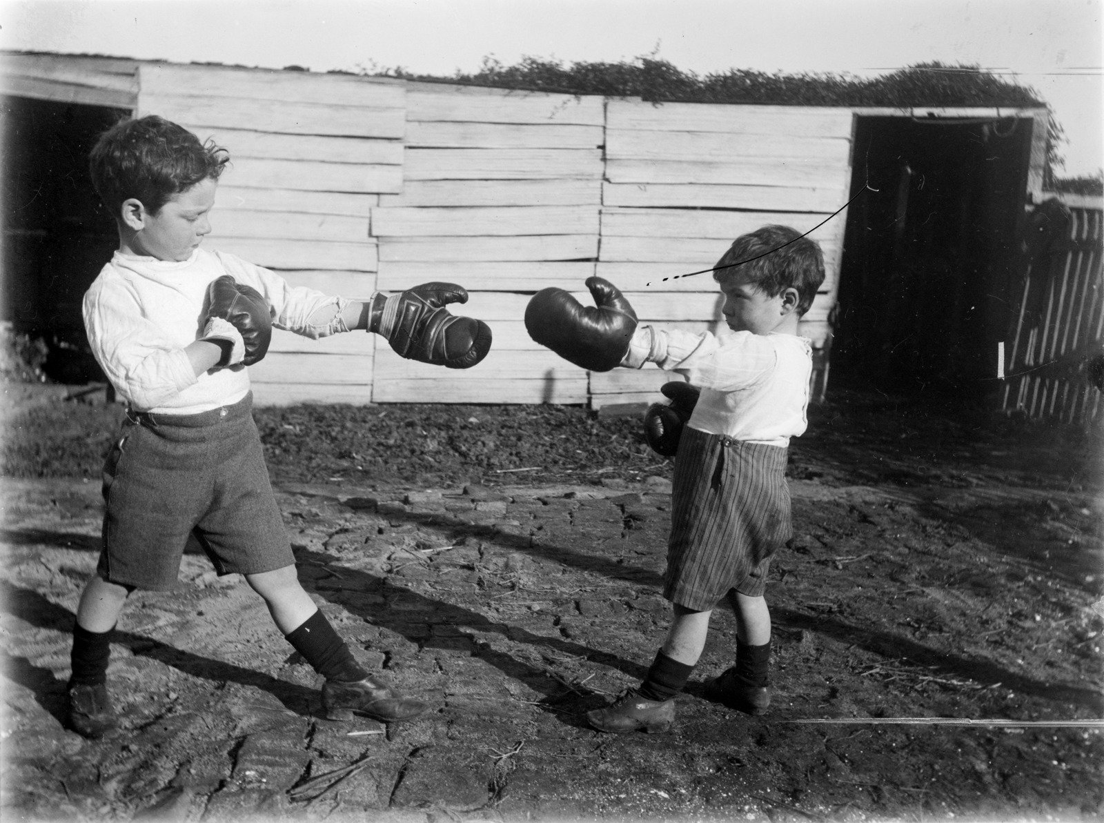 Two boys wearing boxing gloves, in yard c1910