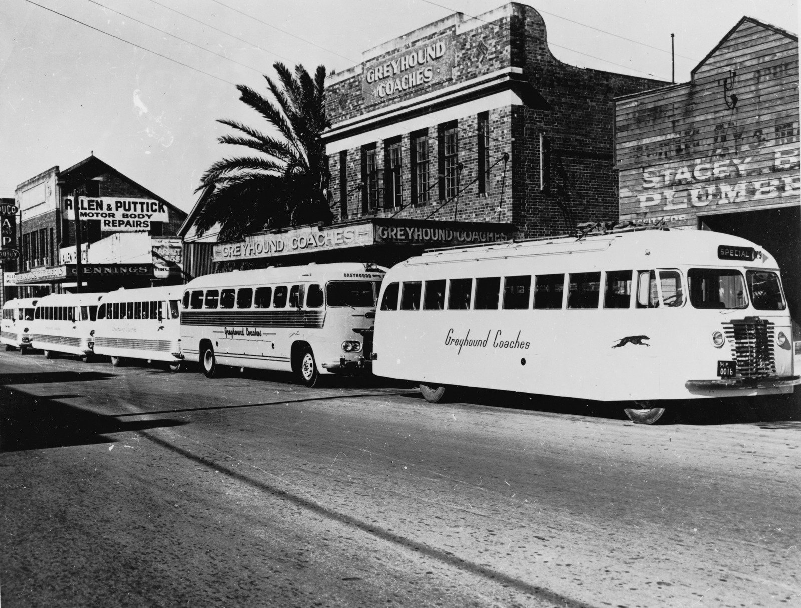 Greyhound Coaches line up outside the terminal at 73 Grey Street, South Brisbane, ca. 1952