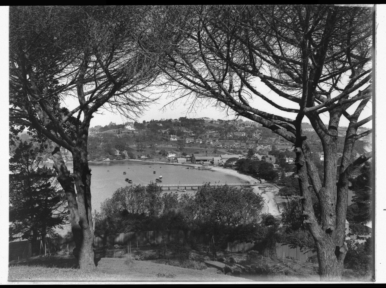 A glimpse of Double Bay 1914