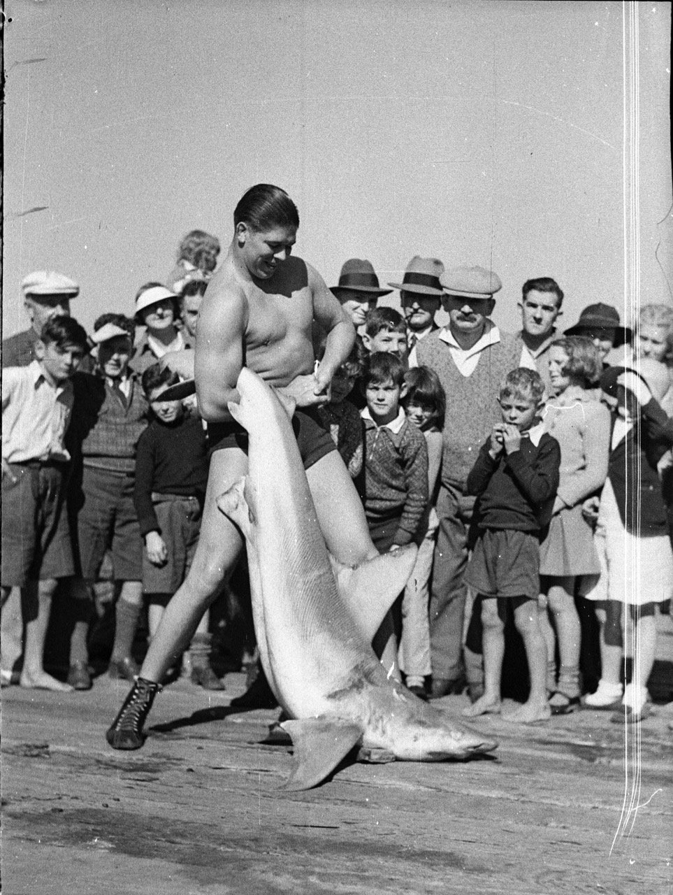 Vic Christie (wrestler) with shark at Double Bay 1937