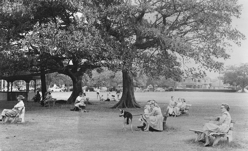 Steyne Park, Double Bay 1950s