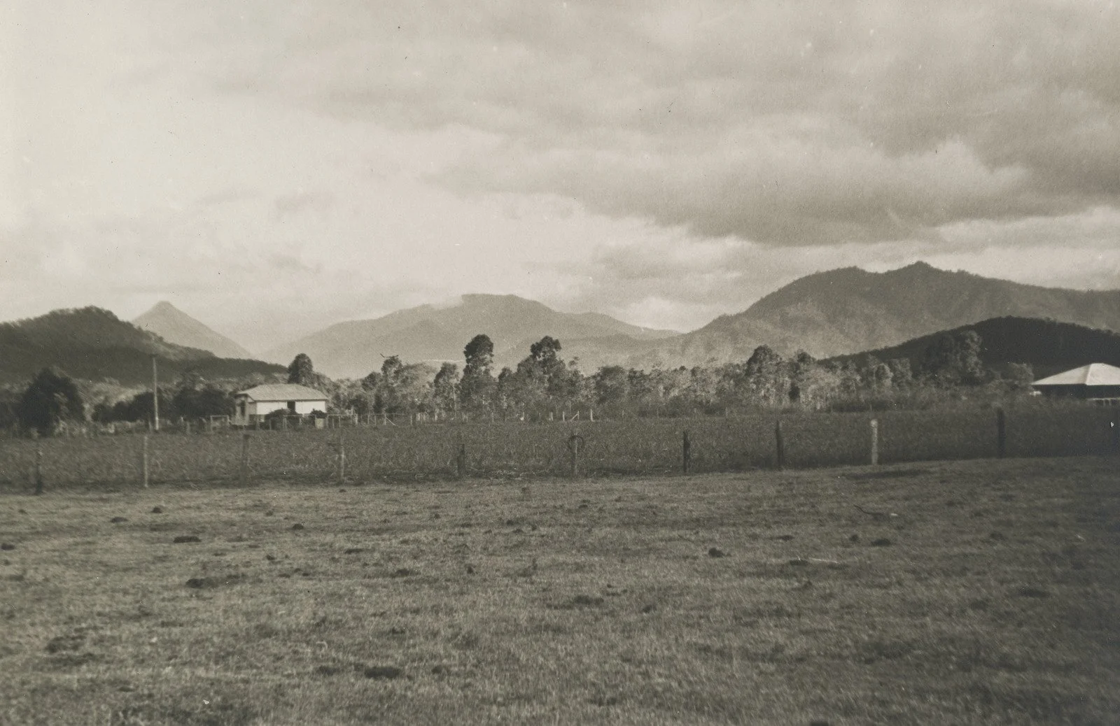 View of farms with Walsh's Pyramid left and Mt. Peter right. Near Edmonton - early 1900s