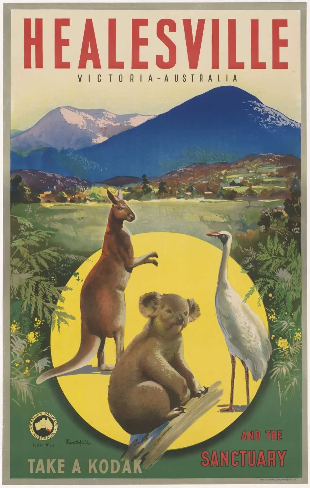 Healesville, Victoria and the Sanctuary take a Kodak Northfield 1935