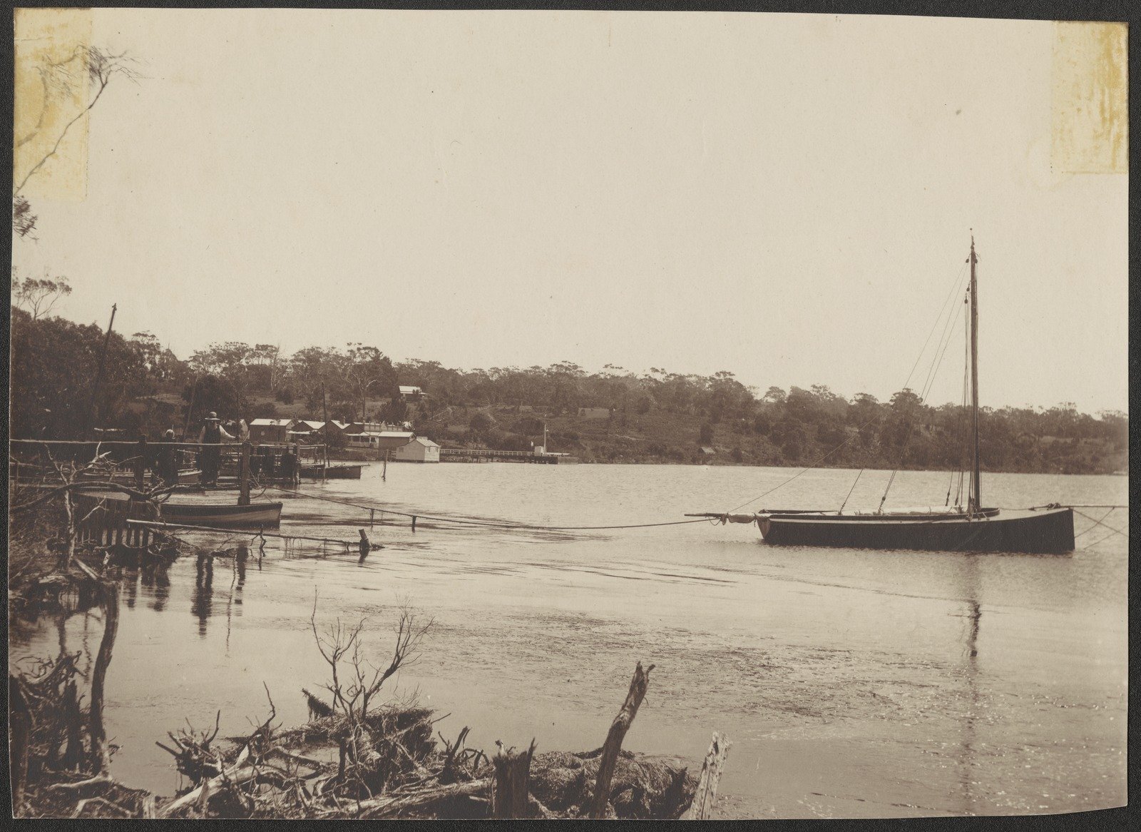 Possibly Metung 1900