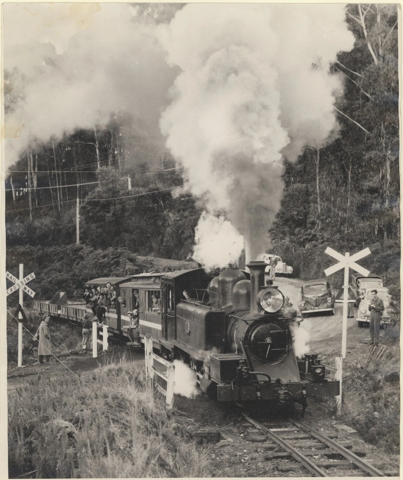Puffing Billy 1950s