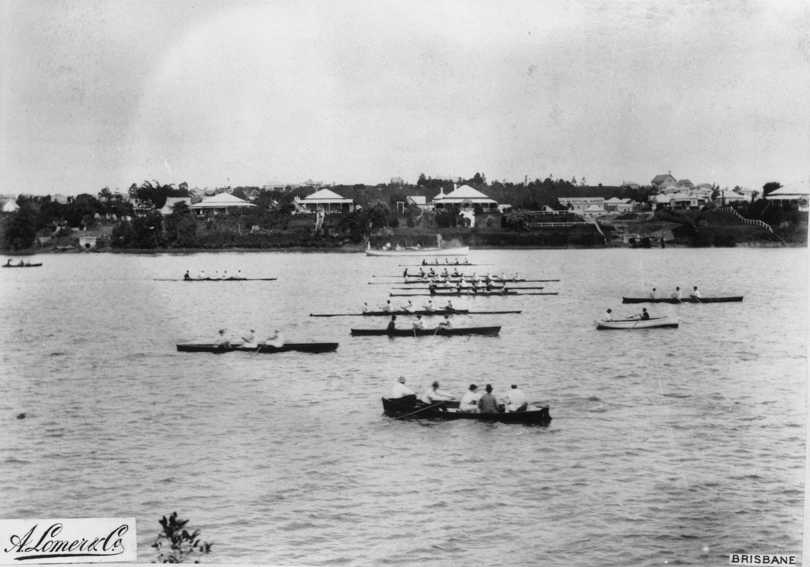 Regatta on the Brisbane River, ca. 1889