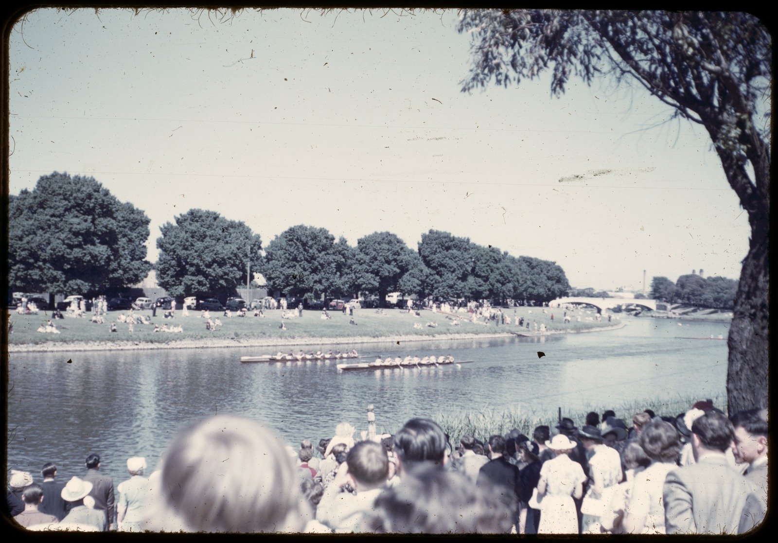 Henley on Yarra 1951