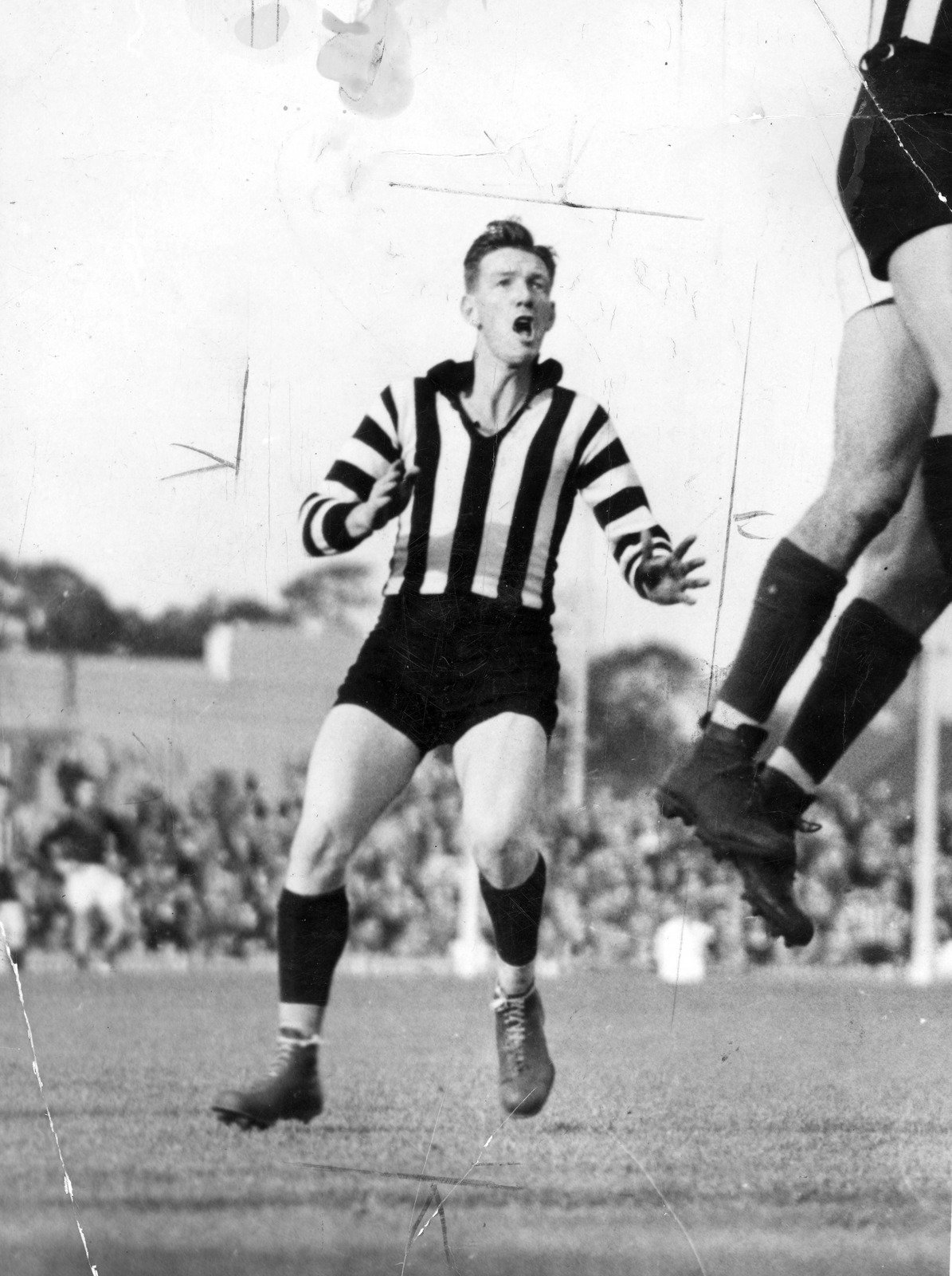Mac Holten, Collingwood 1949