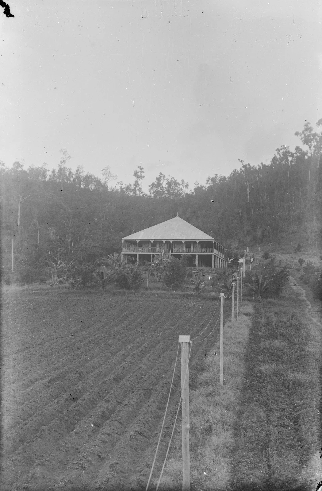 Ploughed field in fromt of the Glenandah Homestead, Sawmill Pocket 1900s