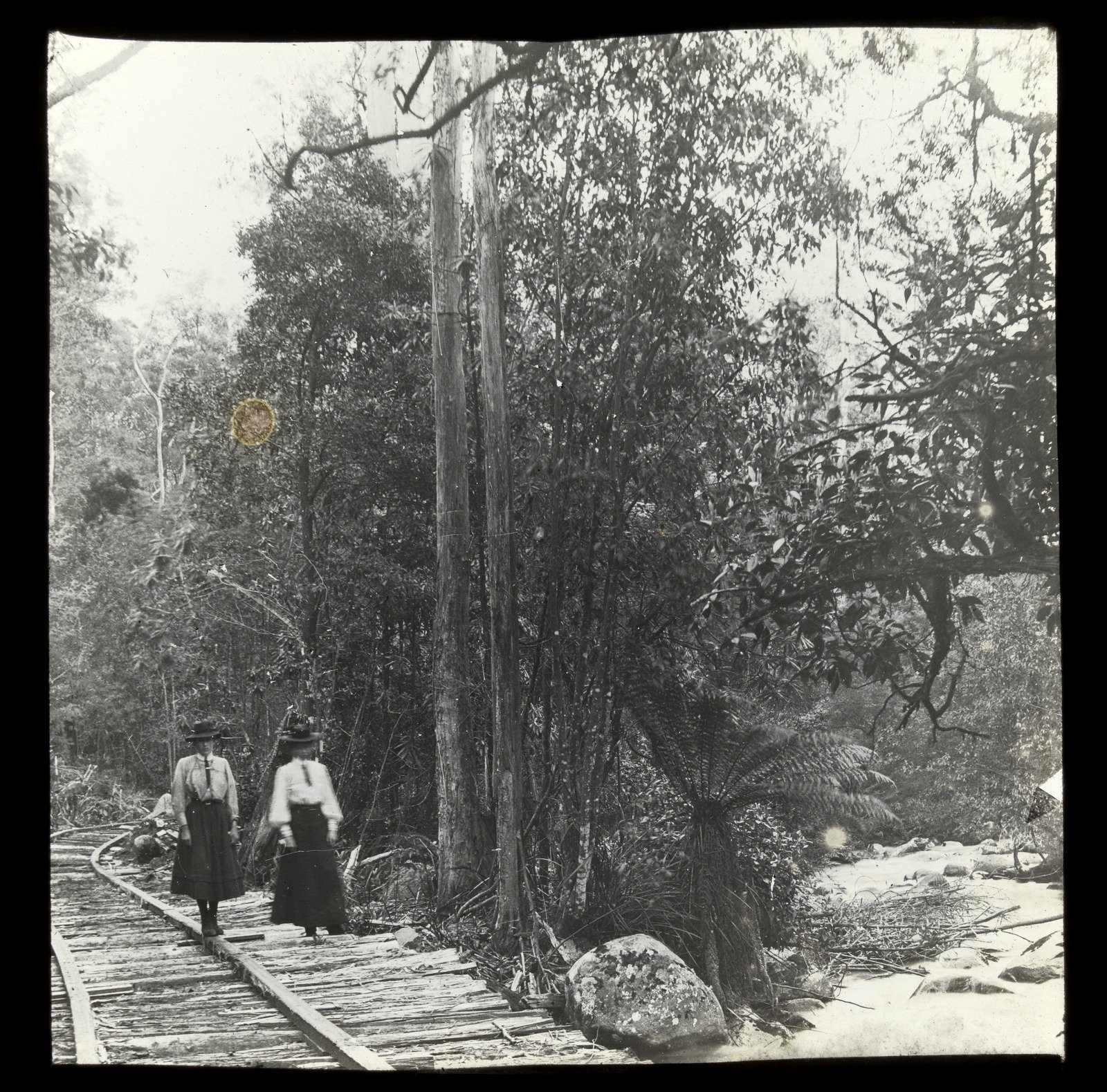 Women walking on logging tram tracks Upper Yarra Valley 1909