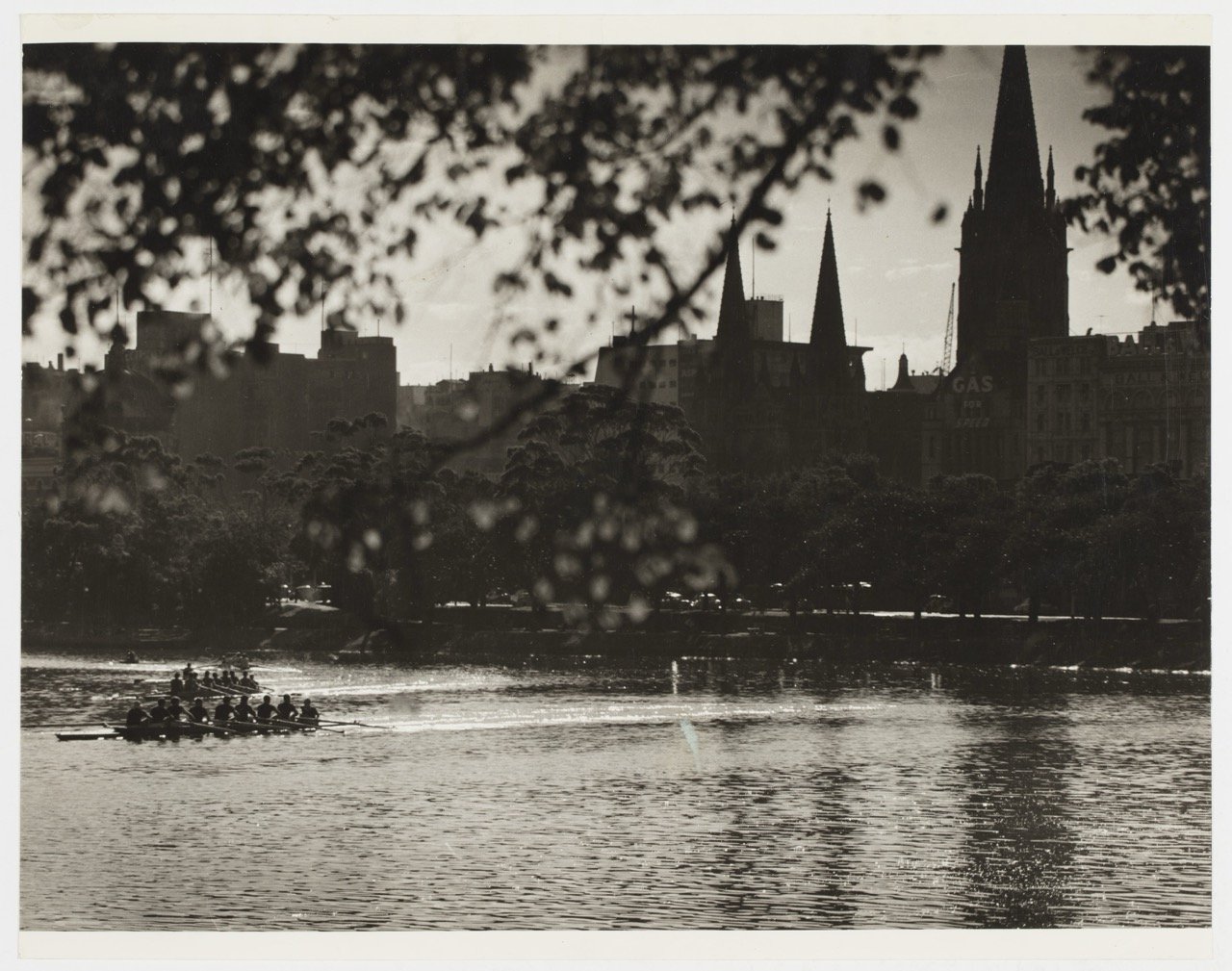 Rowing eights on the Yarra, Feb 1963