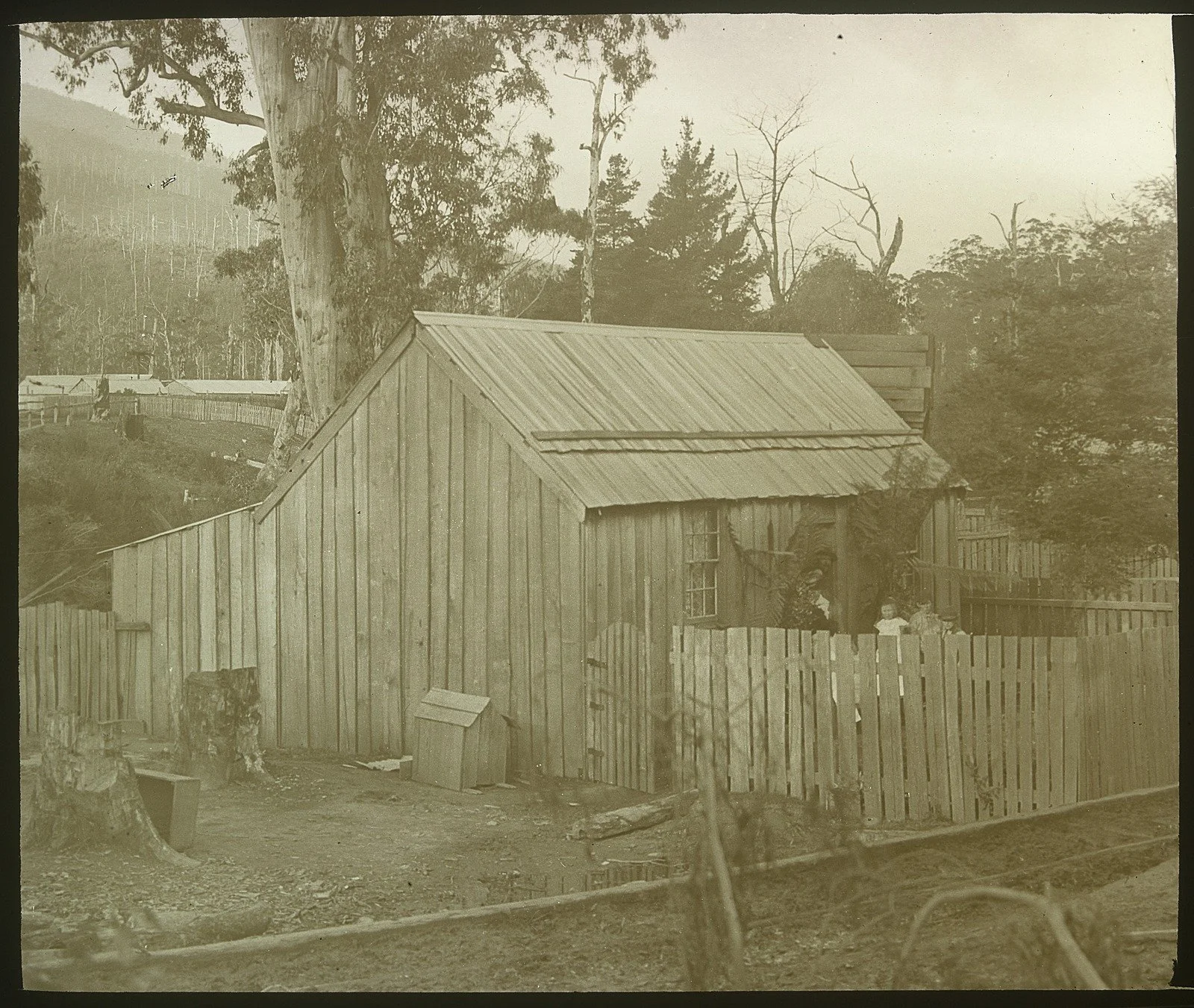 Millgrove Hut, Yarra Valley