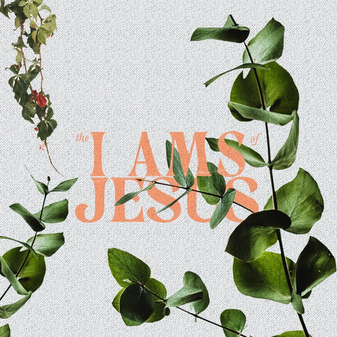 Who is Jesus, really? In the Gospel of John, Jesus makes seven bold &ldquo;I AM&rdquo; statements that reveal His true identity and what He offers us today. From &ldquo;I am the Bread of Life&rdquo; to &ldquo;I am the True Vine,&rdquo; these words ar