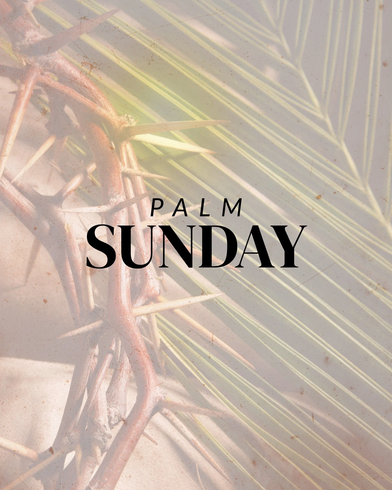 Hosanna in the highest. 🌿
Today we remember the King who came in humility &mdash; and changed everything.

#palmsunday #hosannainthehighest