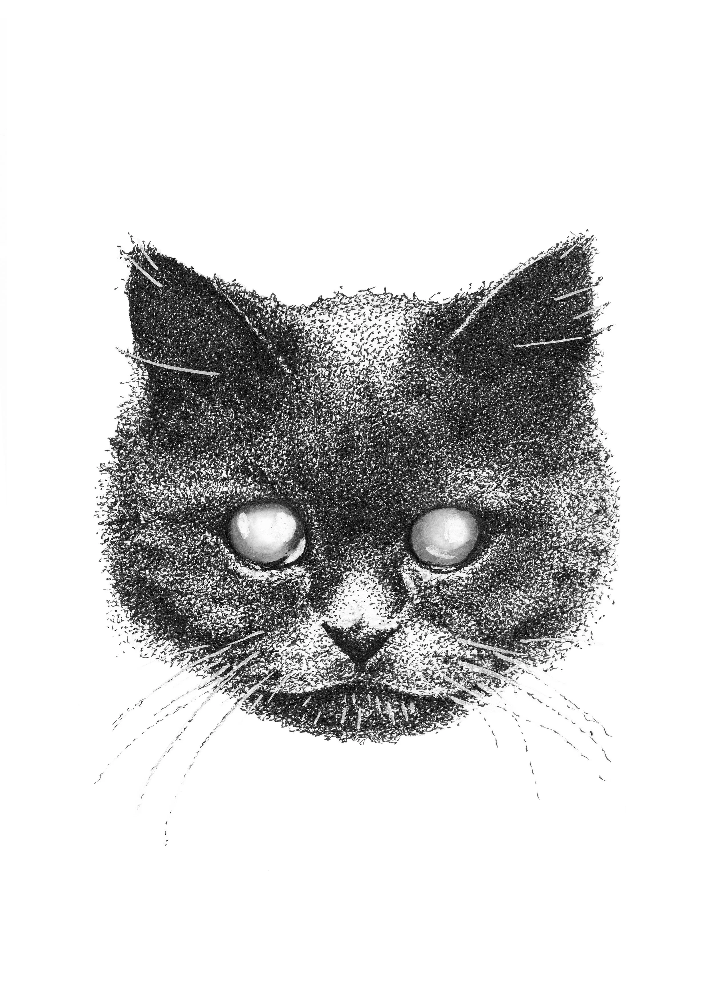 Merlin (5x7 Print)