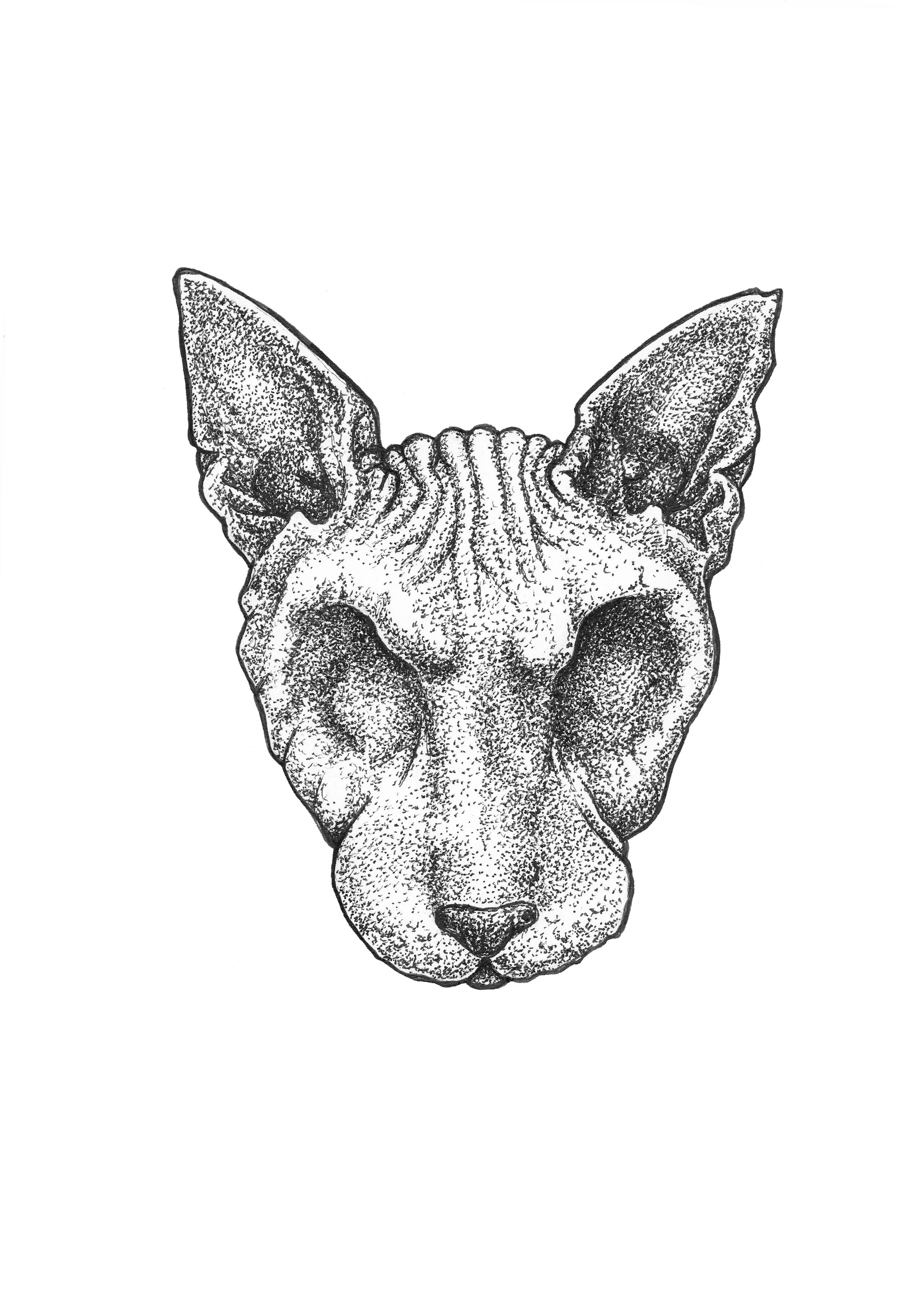 Jasper (Print)