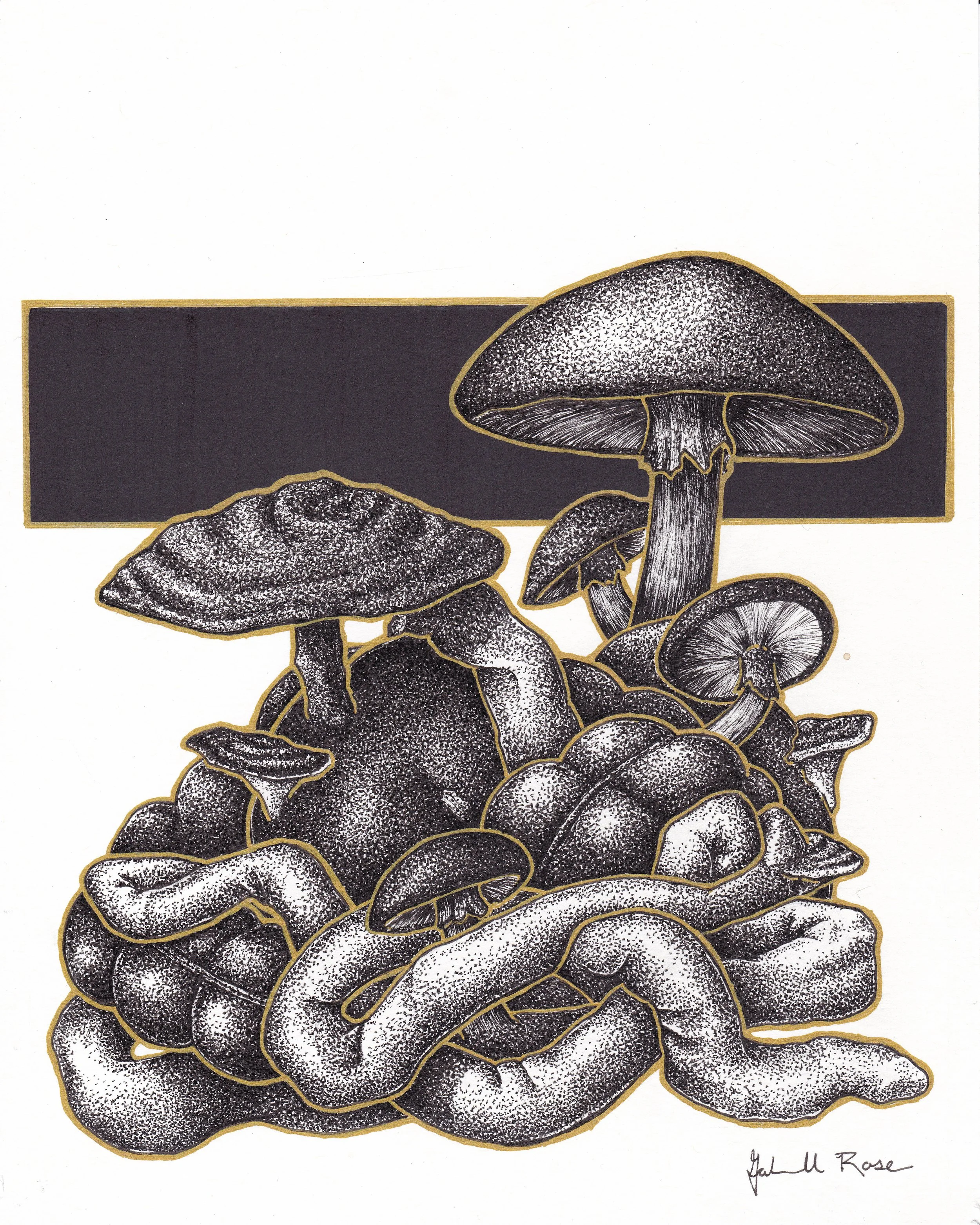 A Gut Feeling (2024)