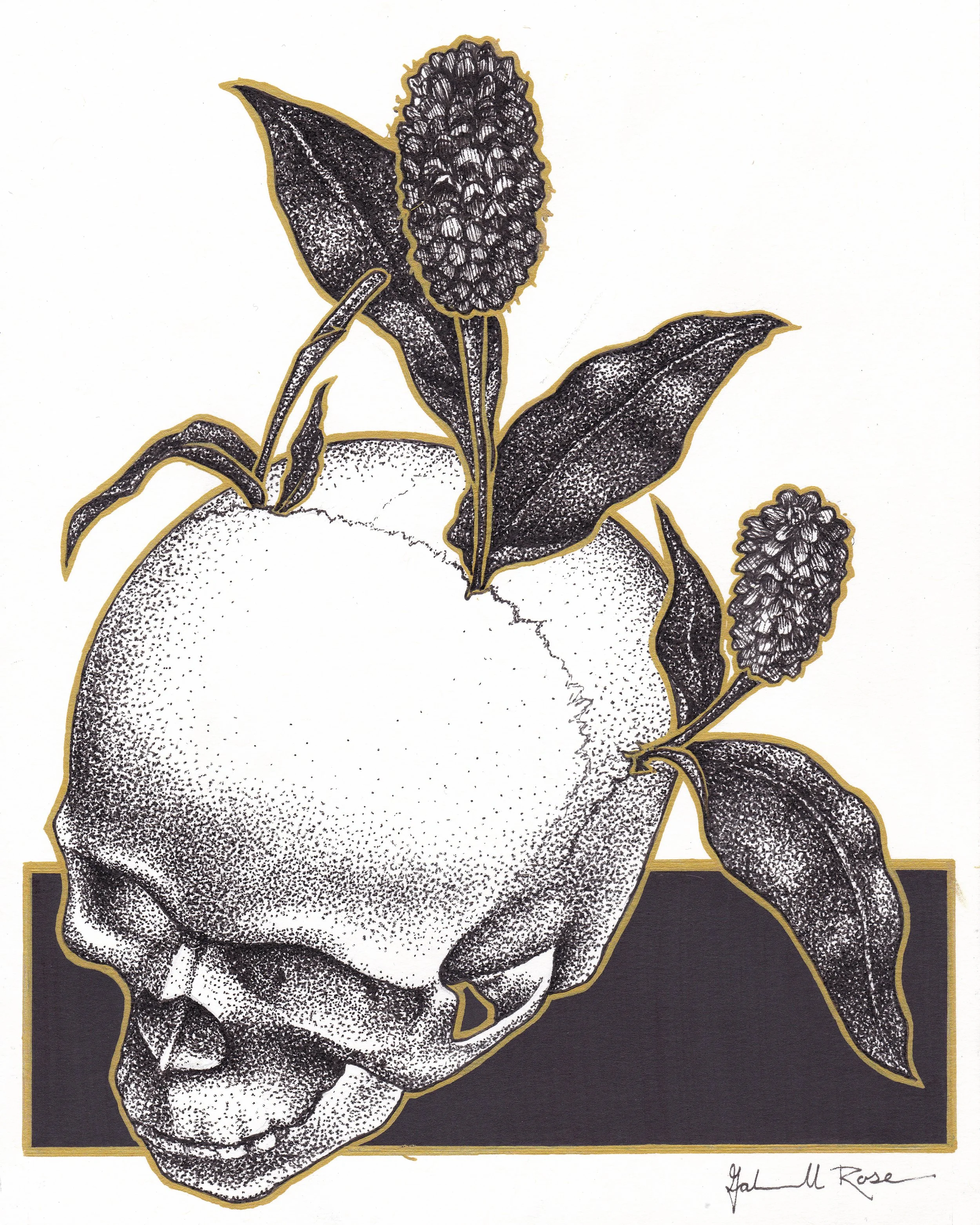 Off The Top Of My Head (2024)