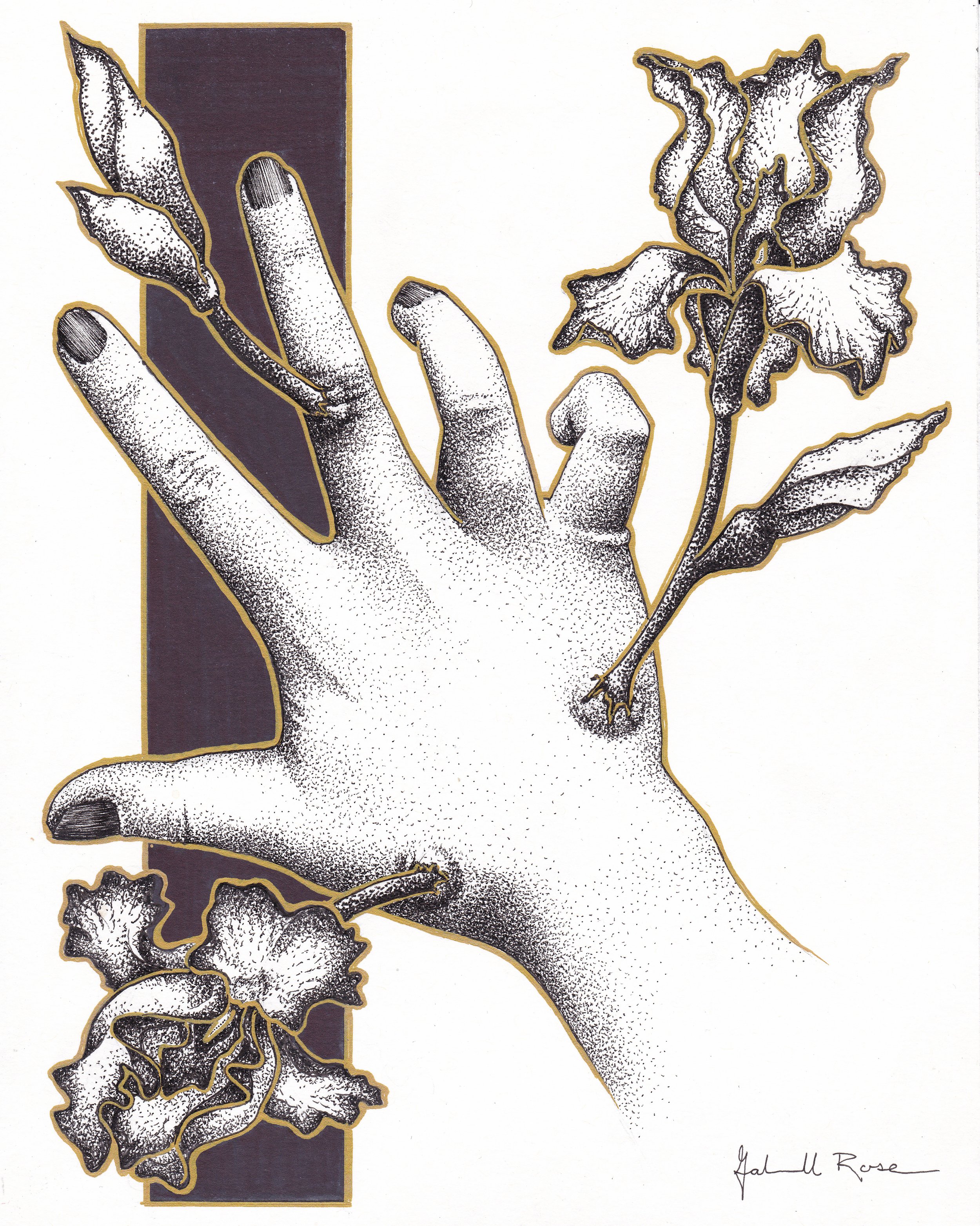 Like The Back Of My Hand (2024)