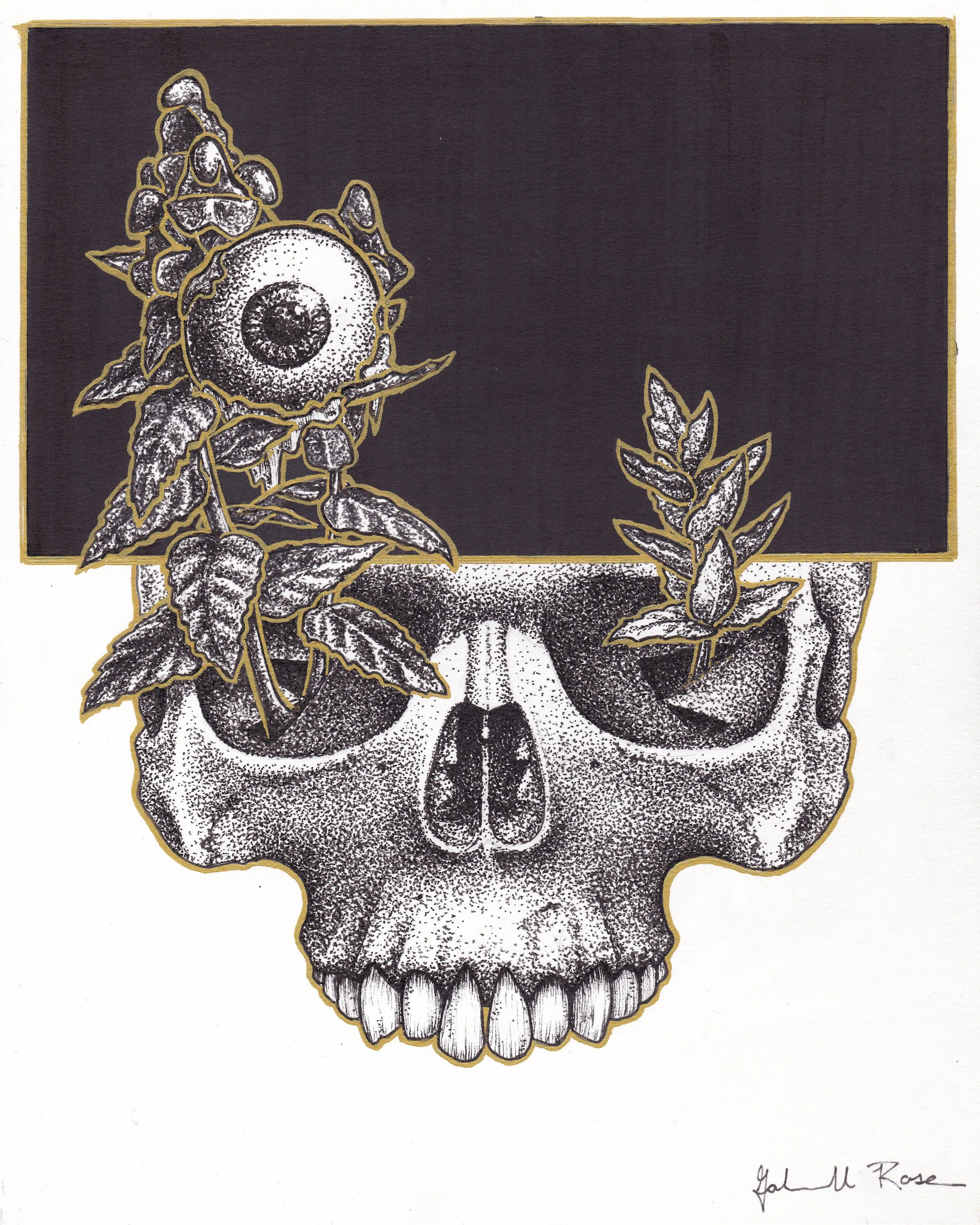 Not Seeing Eye to Eye (2024)