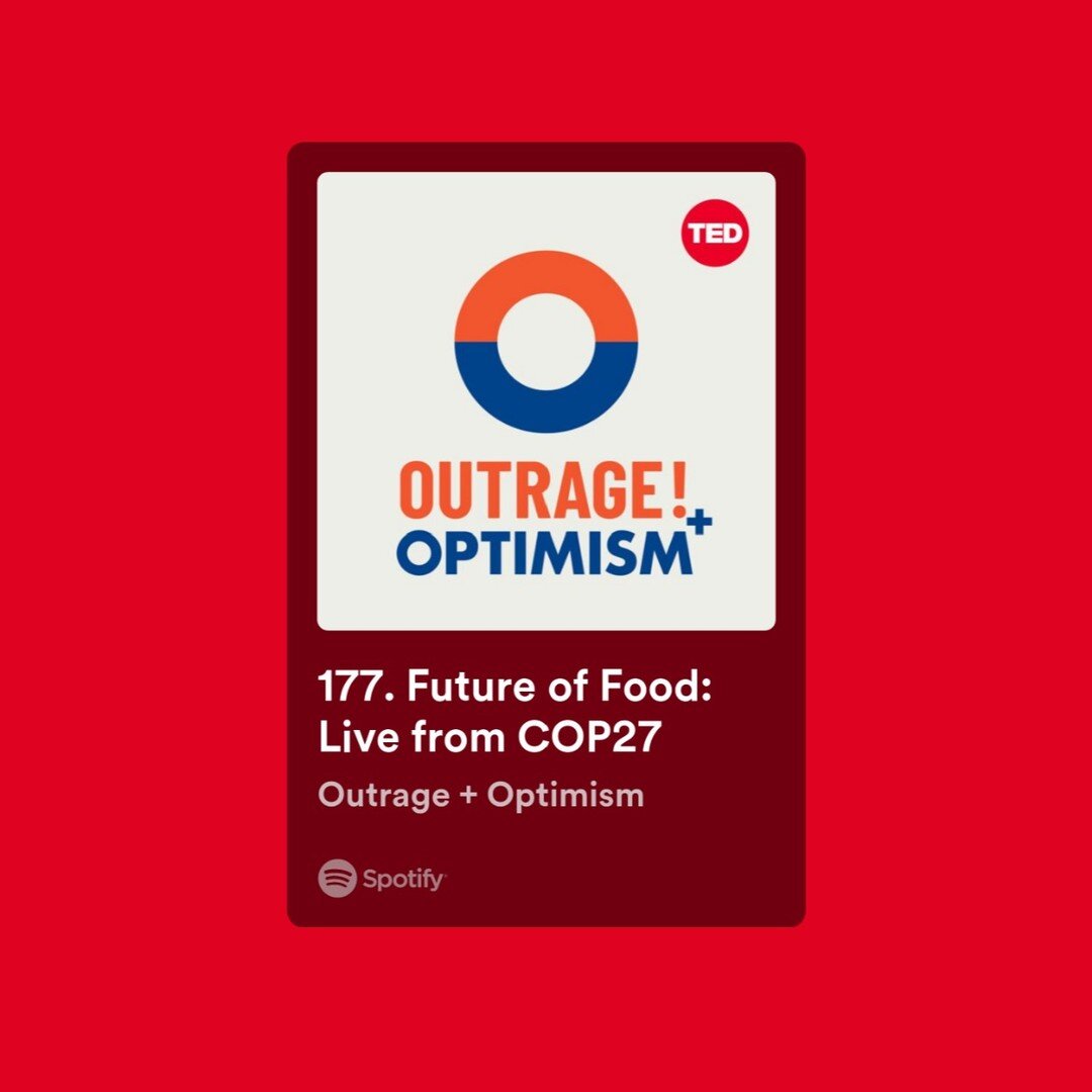 At COP27 in Egypt, we transformed the Global We portal into a dynamic podcast studio for Outrage and Optimism, initiating conversations between Egypt and Africa in a morning session dedicated to the future of food.

Outrage and Optimisim is a well re