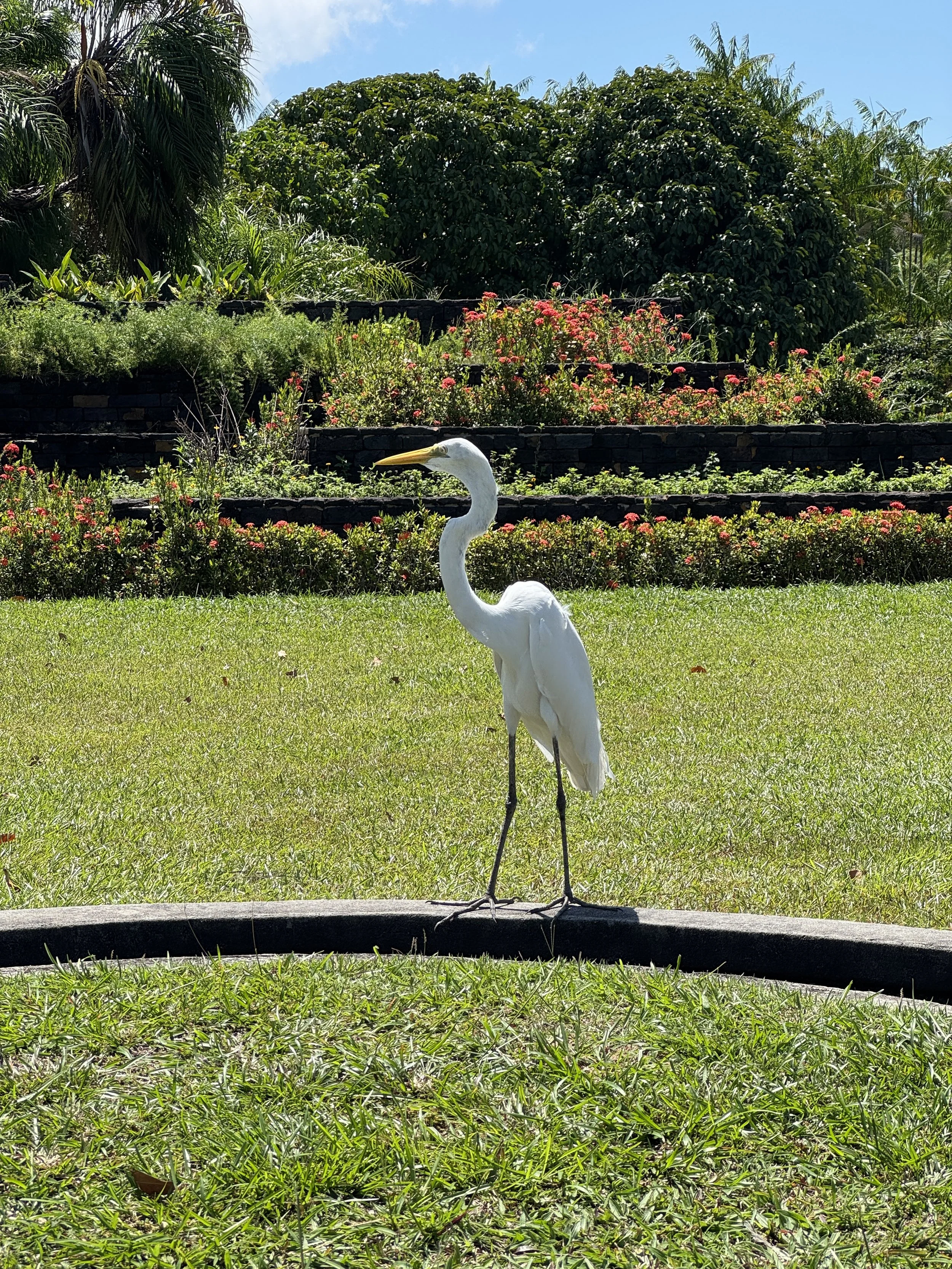IMG_9079.JPG