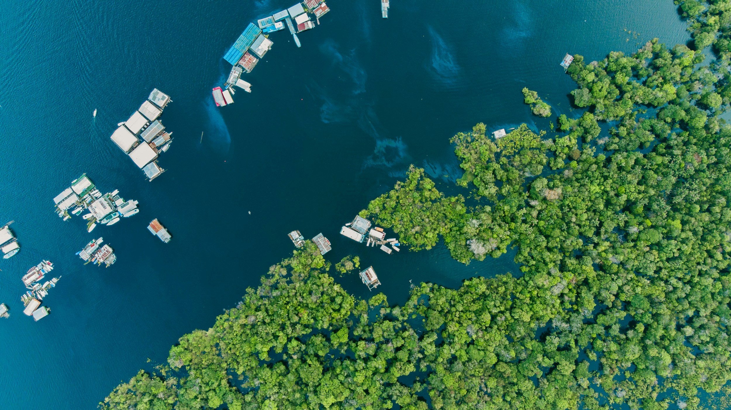 Riverside houses on the Amazon, Brazil