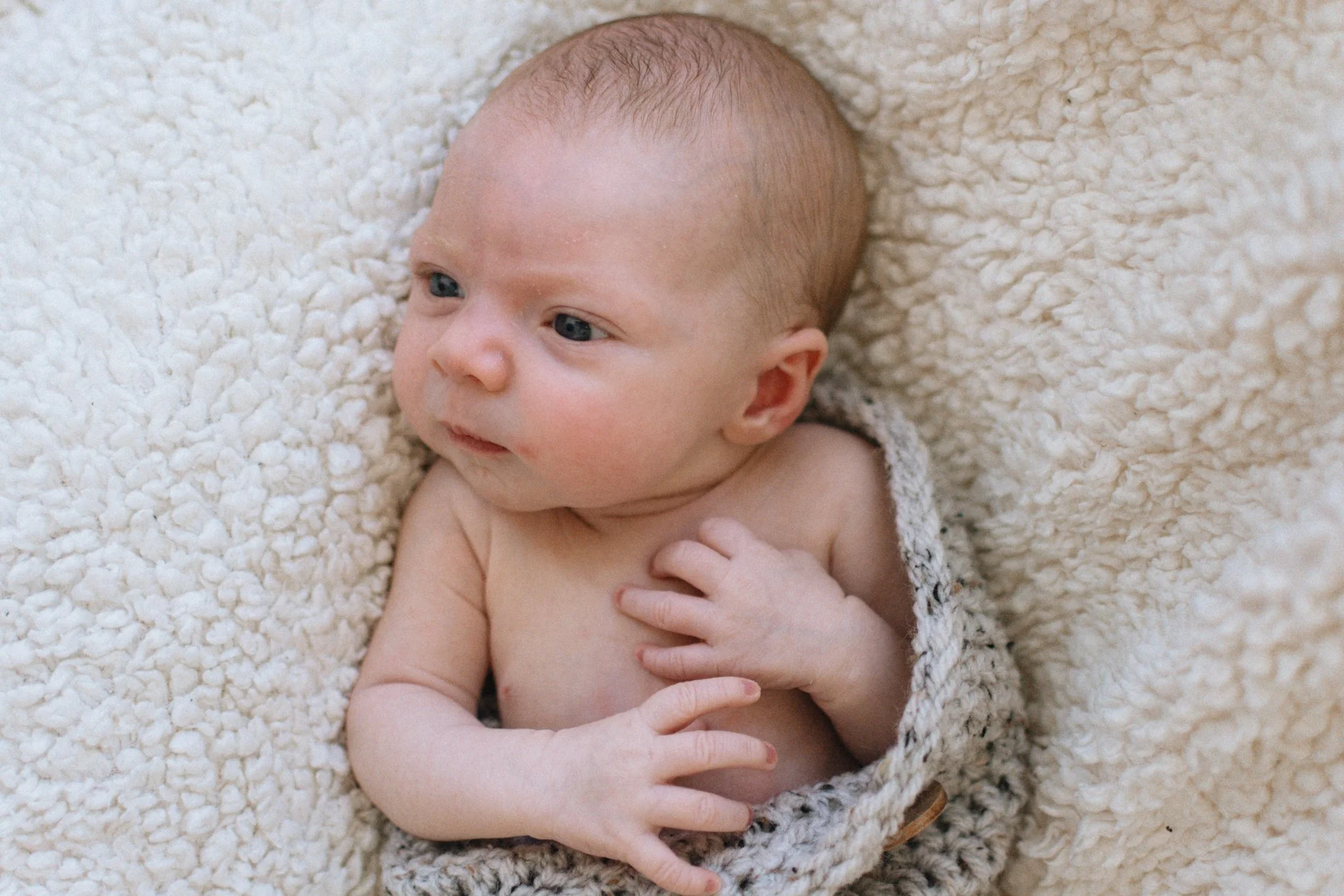 Camor.newborn-4.jpg