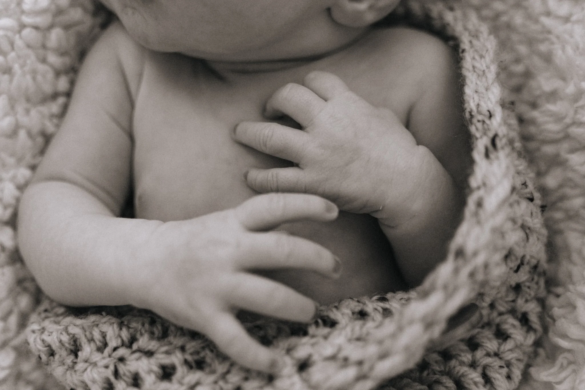 Camor.newborn-5.jpg