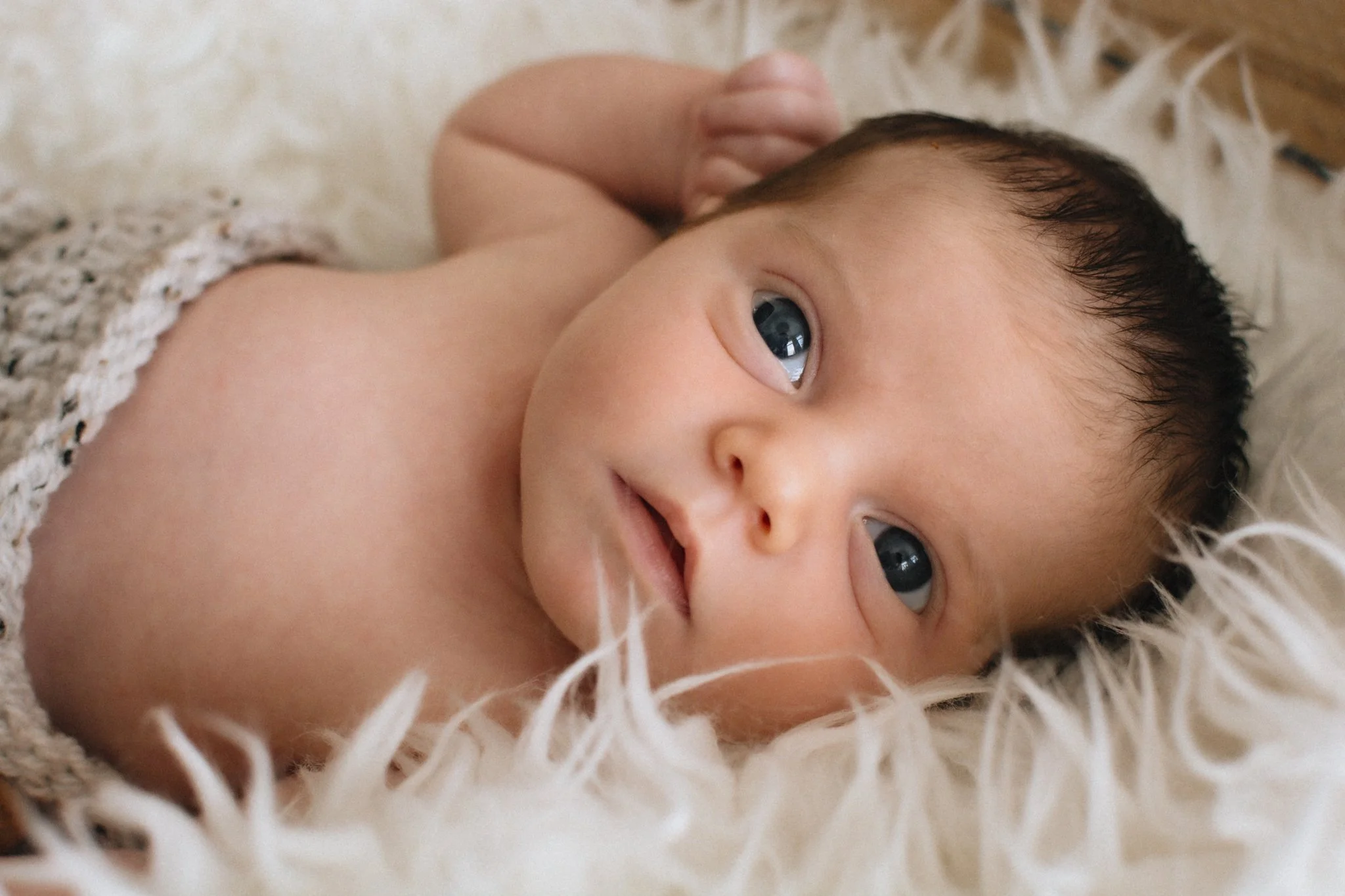 Camor.newborn-37.jpg