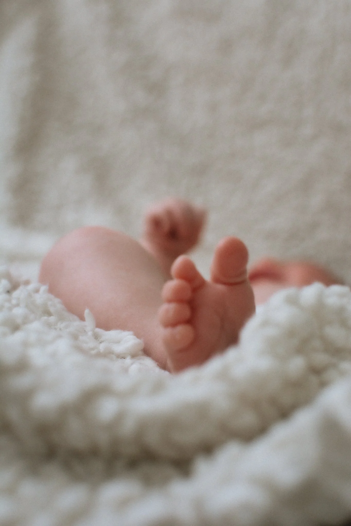 Camor.newborn-39.jpg